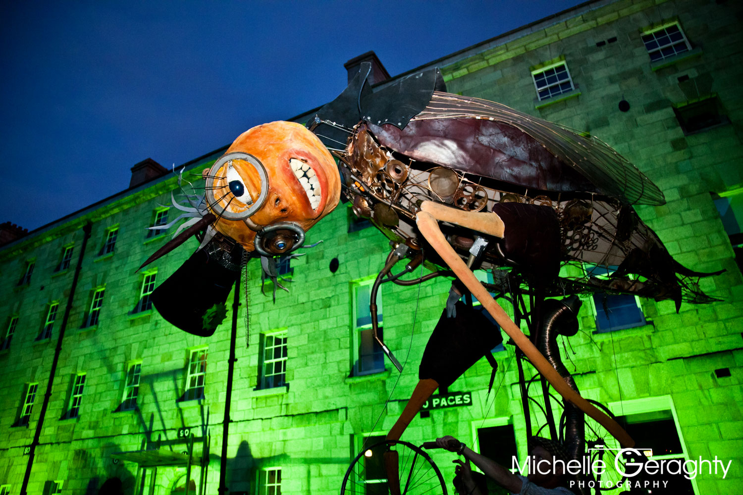 Michelle Geraghty_Fringe 2011_Macnas-7413.jpg