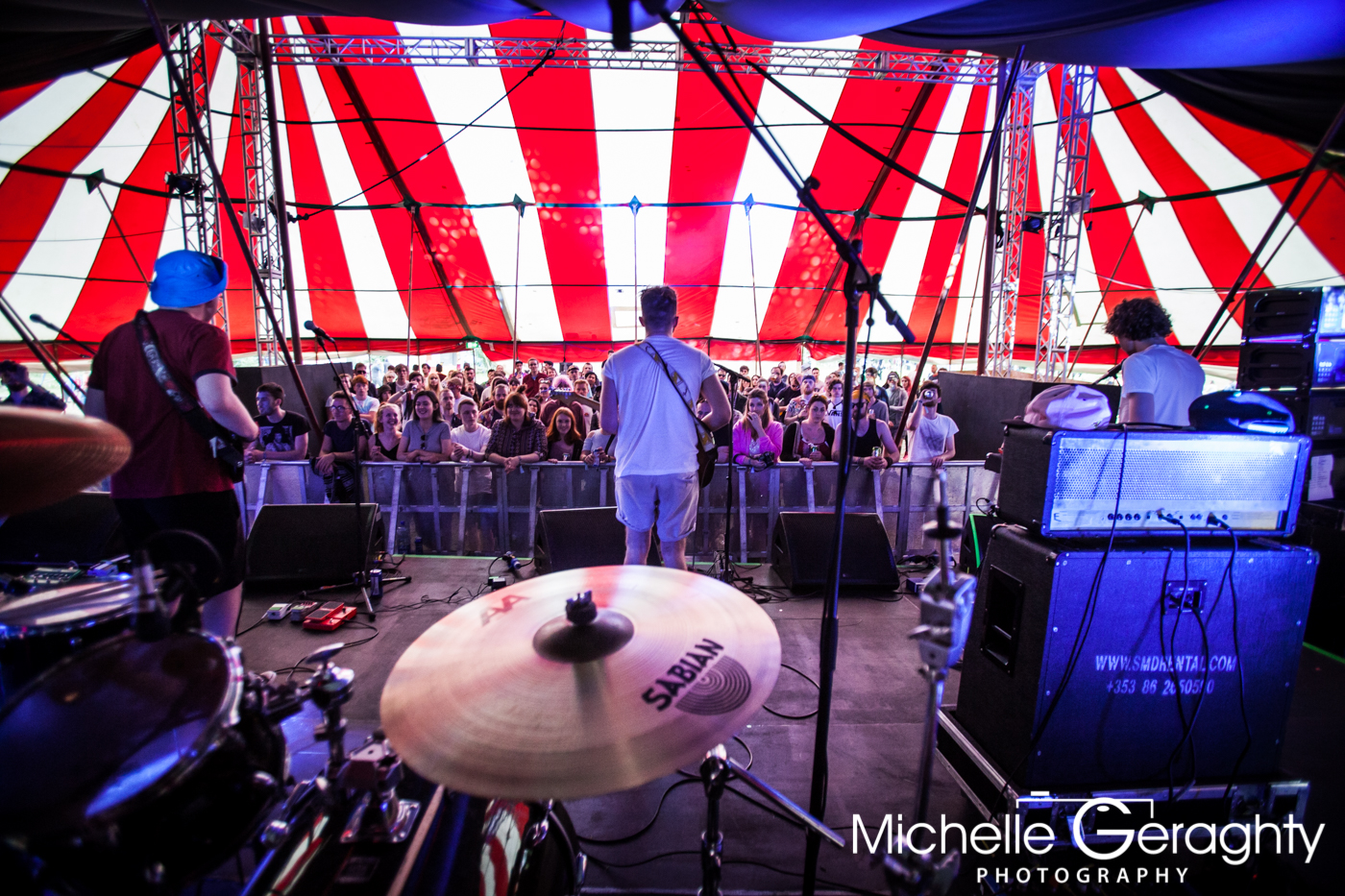 Search Party Animal at KnockanStockan, Co. Wicklow, Ireland