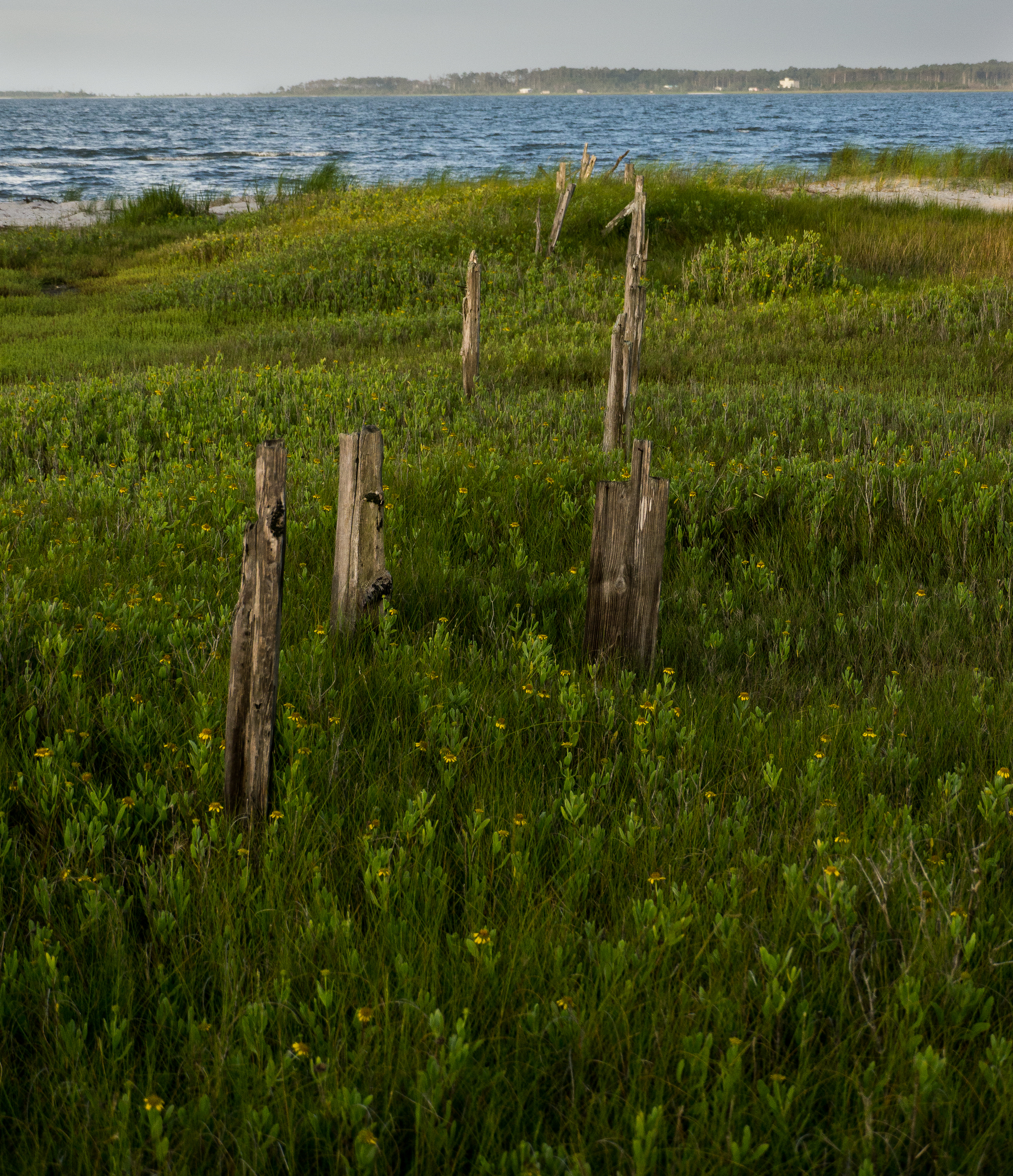 fence, Sea Level, NC