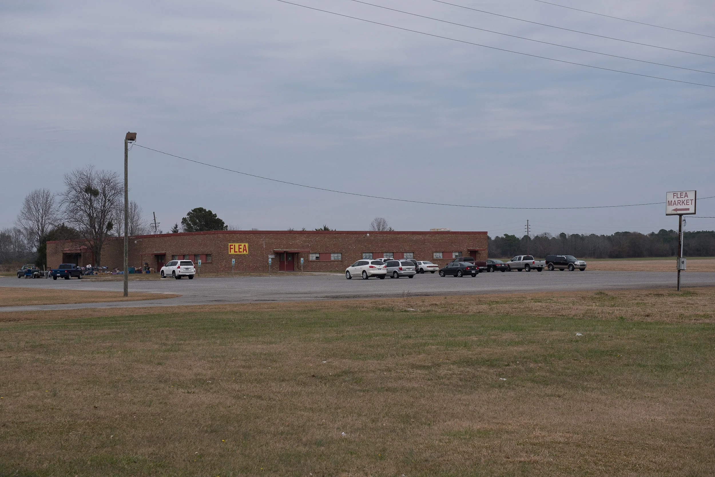 DSC_7937.jpg