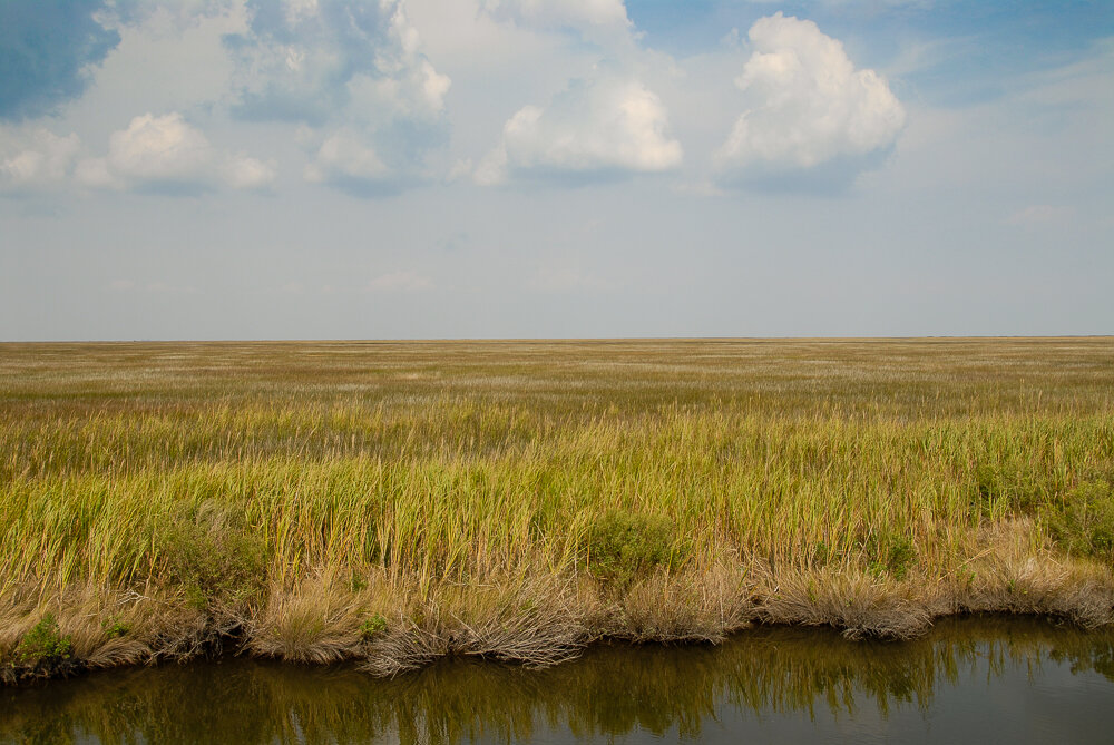 On the way to Cedar Island, highway 70, NC, 2006