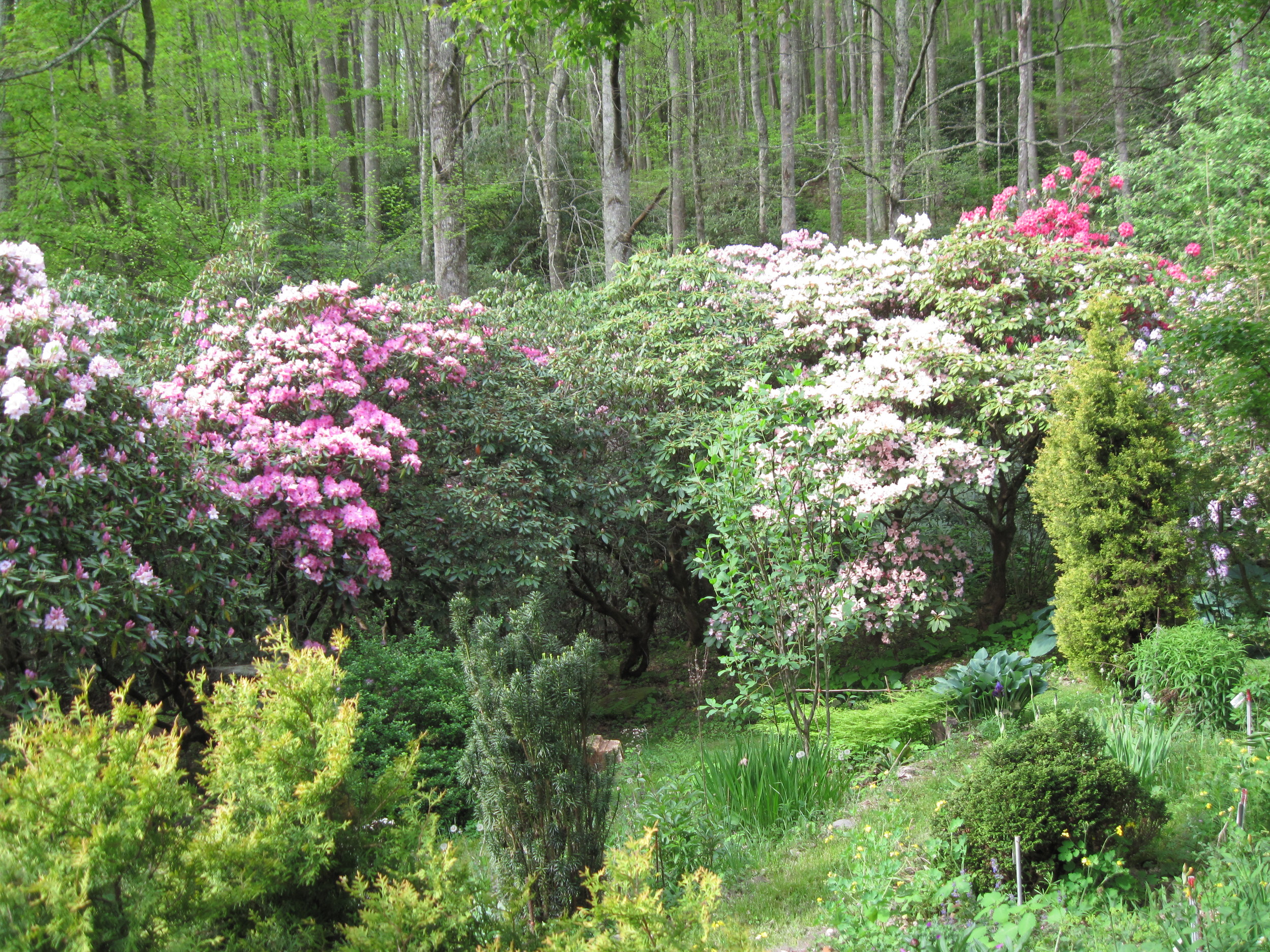 Sandy Mush Herb Nursery