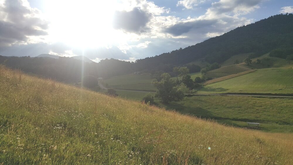 Mount Gilead Farm and French Broad Creamery