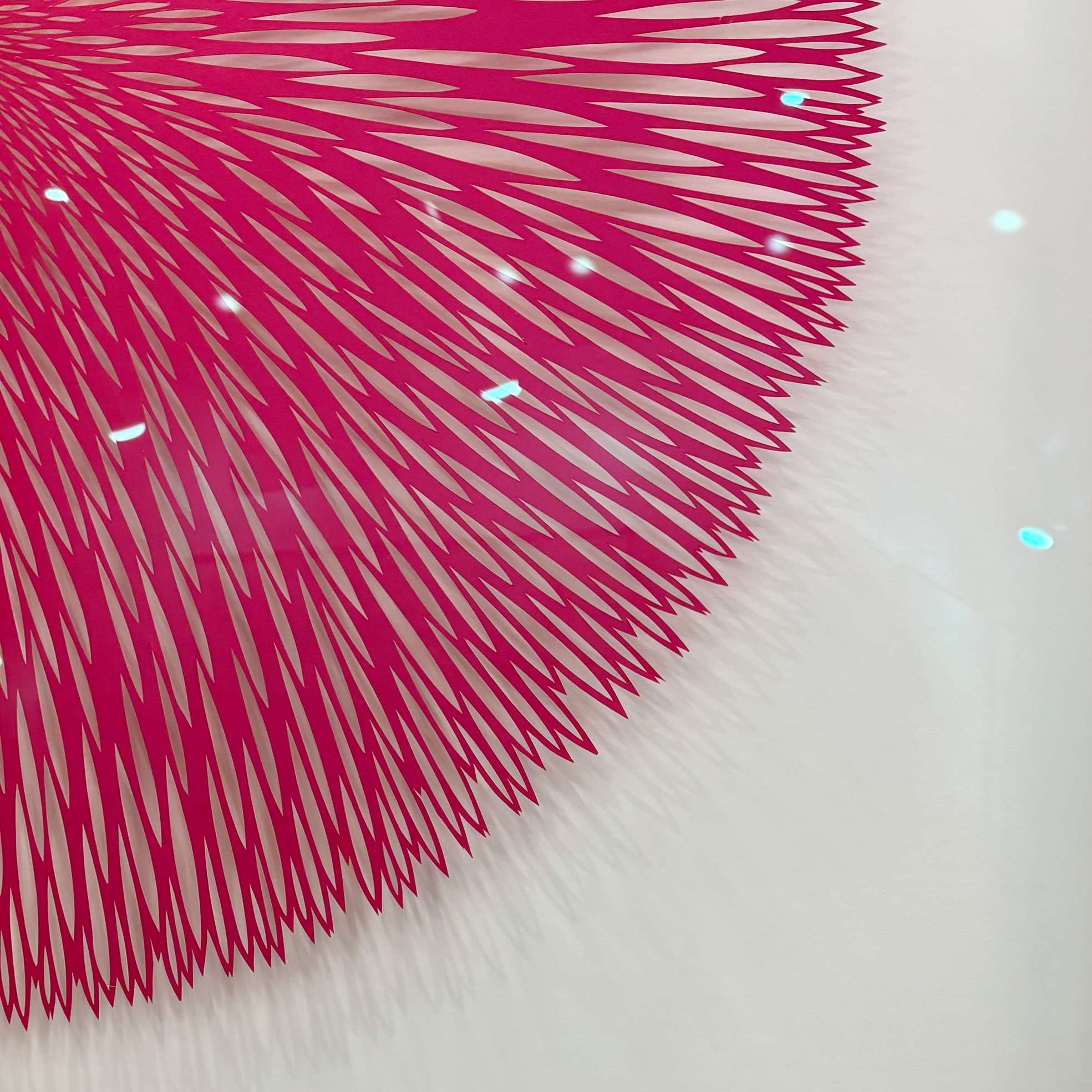 35320551-C3FB-4B28-8C81-C93A788BA396.jpeg