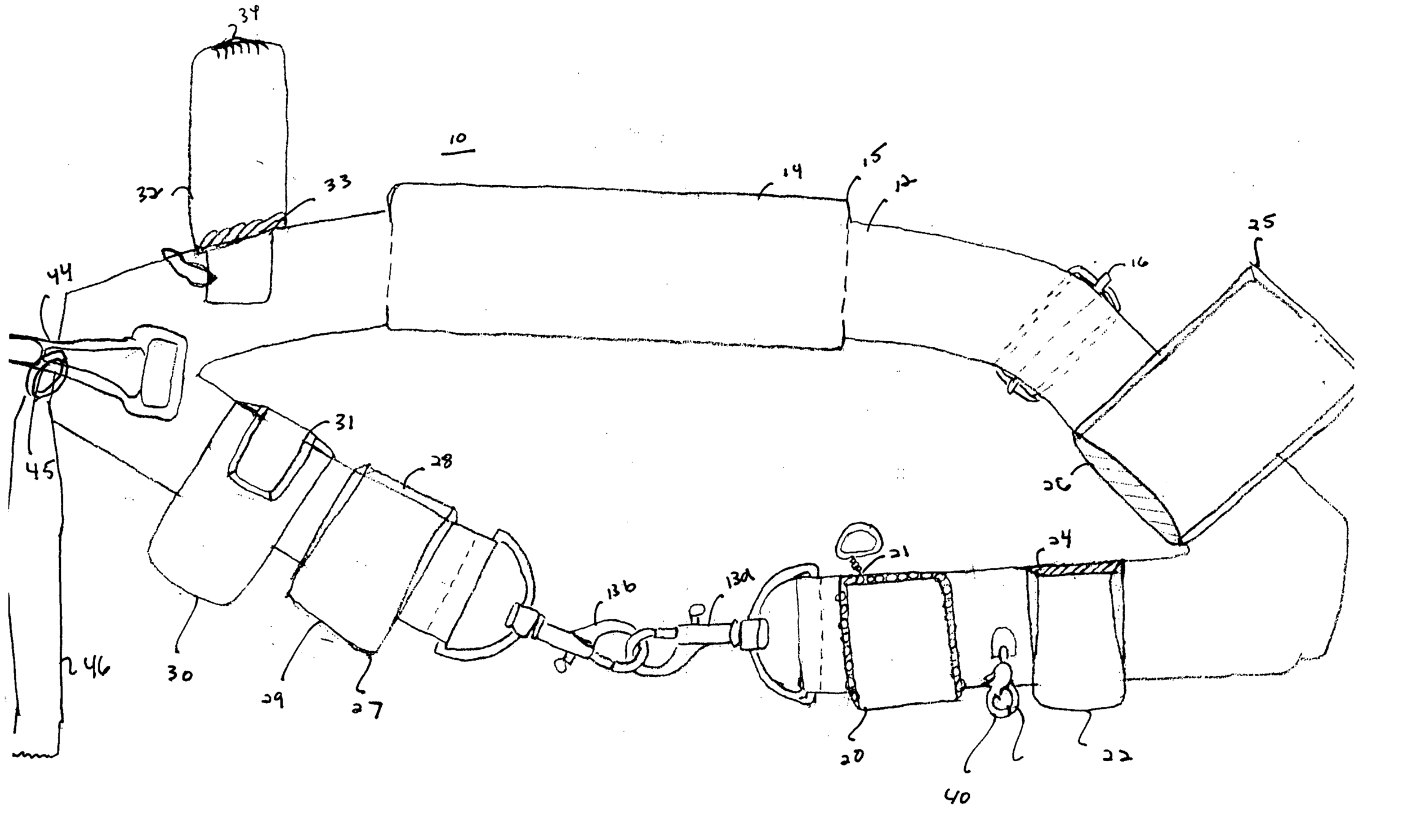 Patent illustration for a "pet utility belt." 