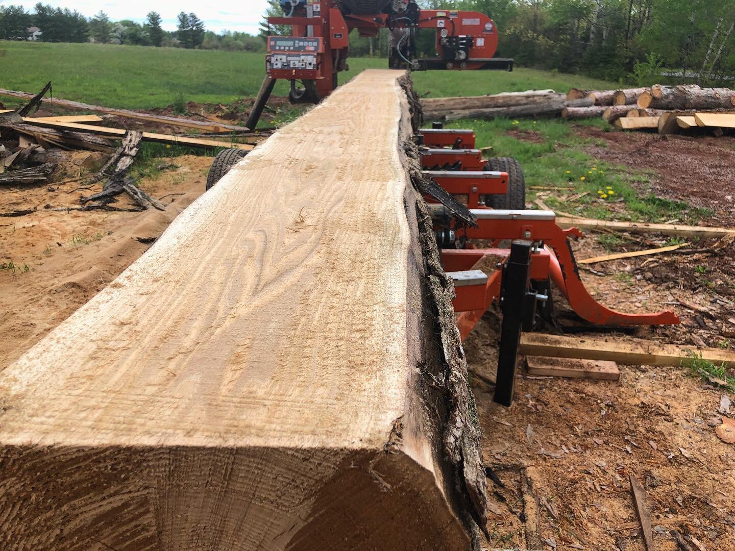 Anyone need some 20&rsquo; long clear, wide Butternut?  It&rsquo;s not like this stuff grows on trees. #butternutcanker #woodmizerwednesday #woodworking #woodenboat #woodboatbuilding #sawmill #growninwisconsin