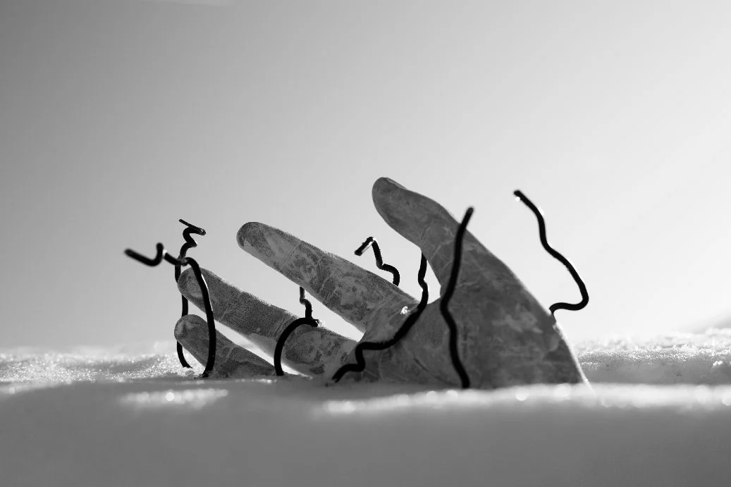 L'ombre gagne