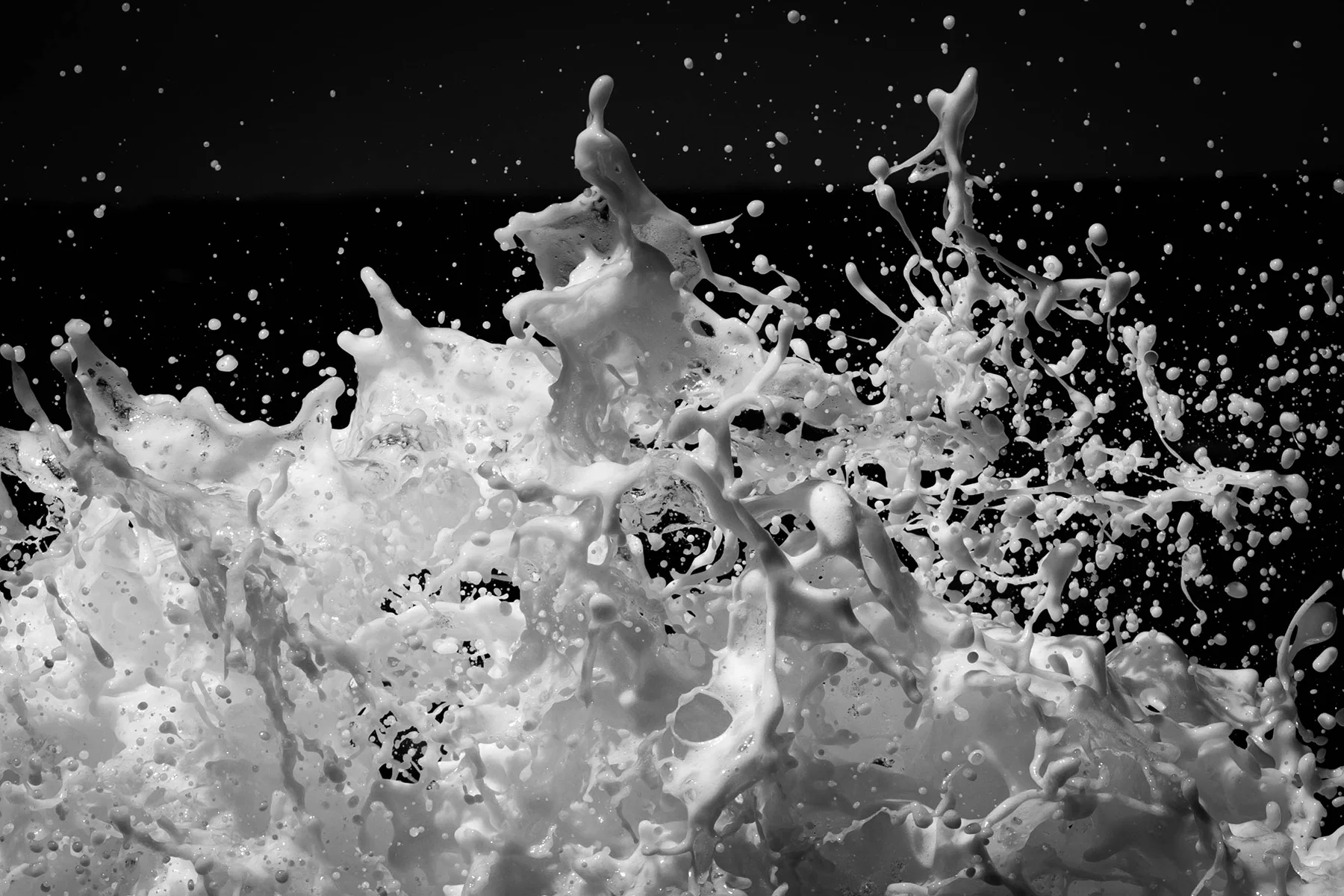 MONOCHROME WORLD