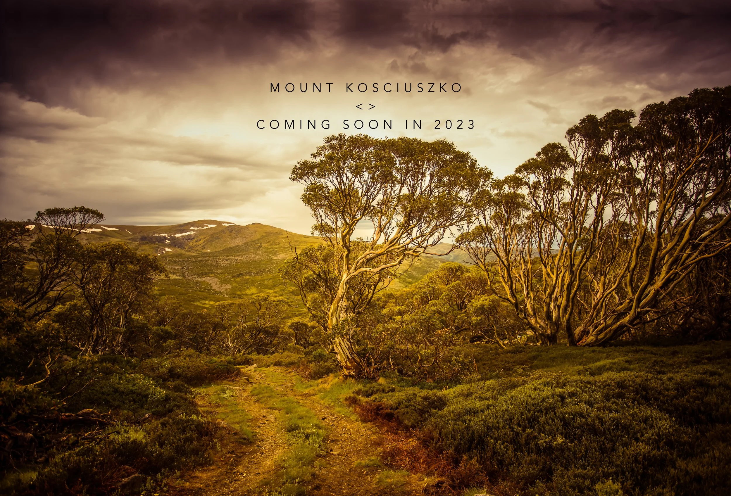 MOUNT KOSCIUSZKO IMAGE.jpg
