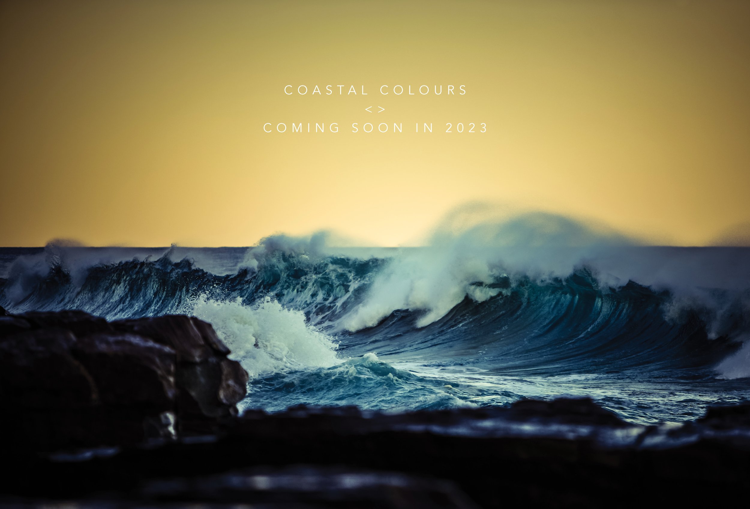 new set WEB SITE 7.jpg