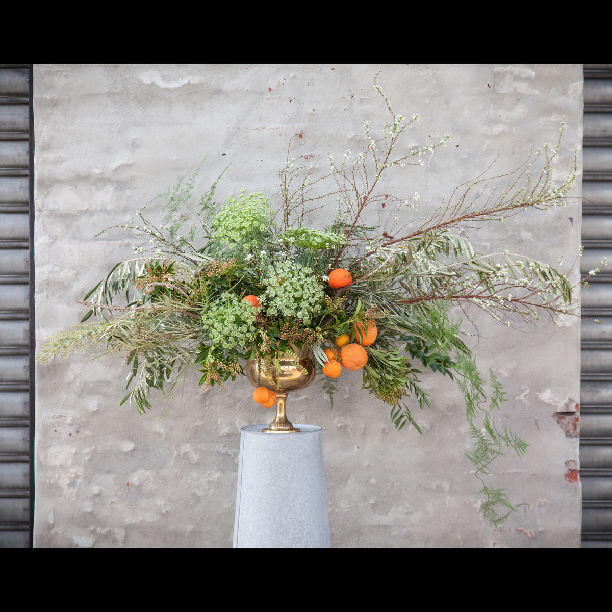 F&P Tasting_0123_2.jpg