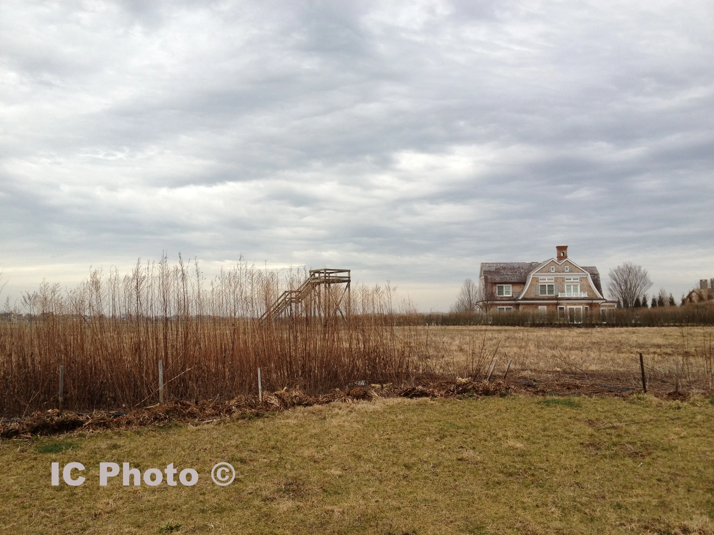 Watermill Potato Field