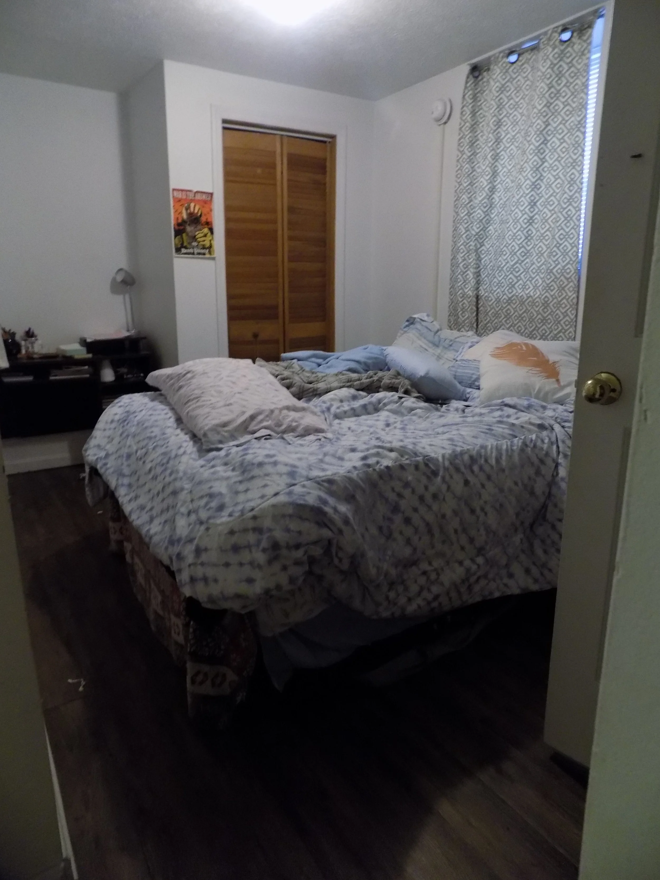 DSCN0535.JPG