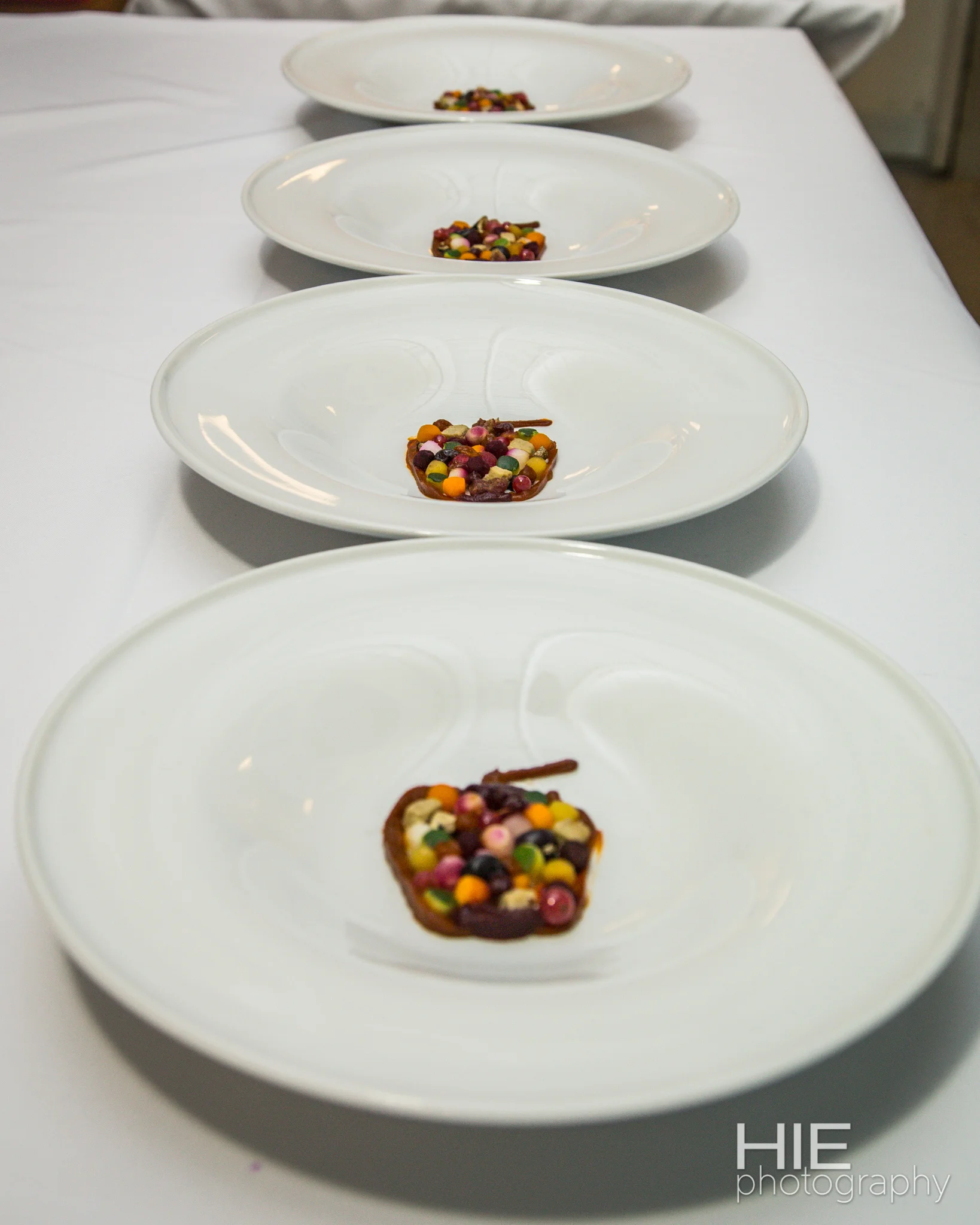 2015.11.08 HIE Photo Massimo-44.jpg