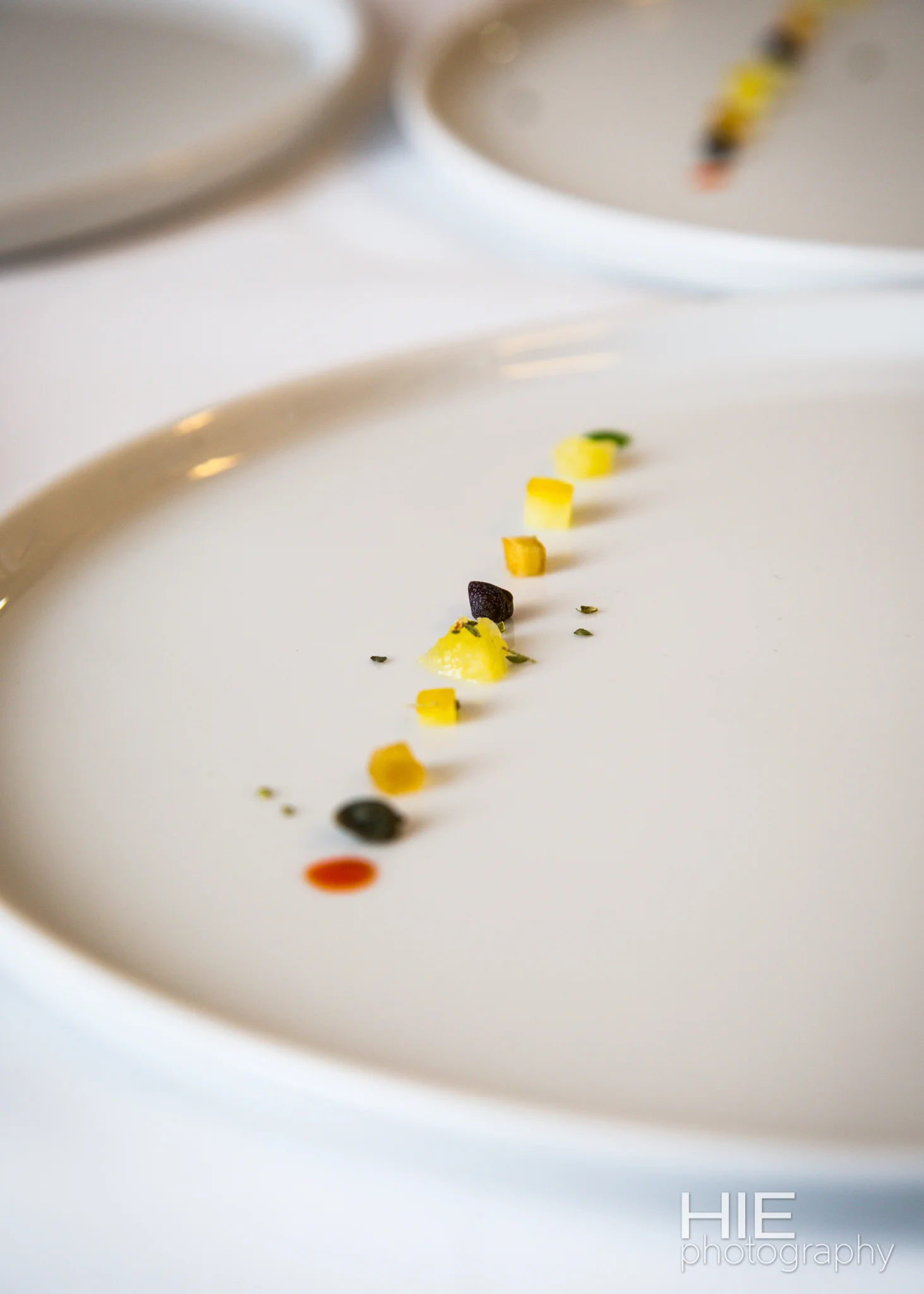 2015.11.08 HIE Photo Massimo-64.jpg