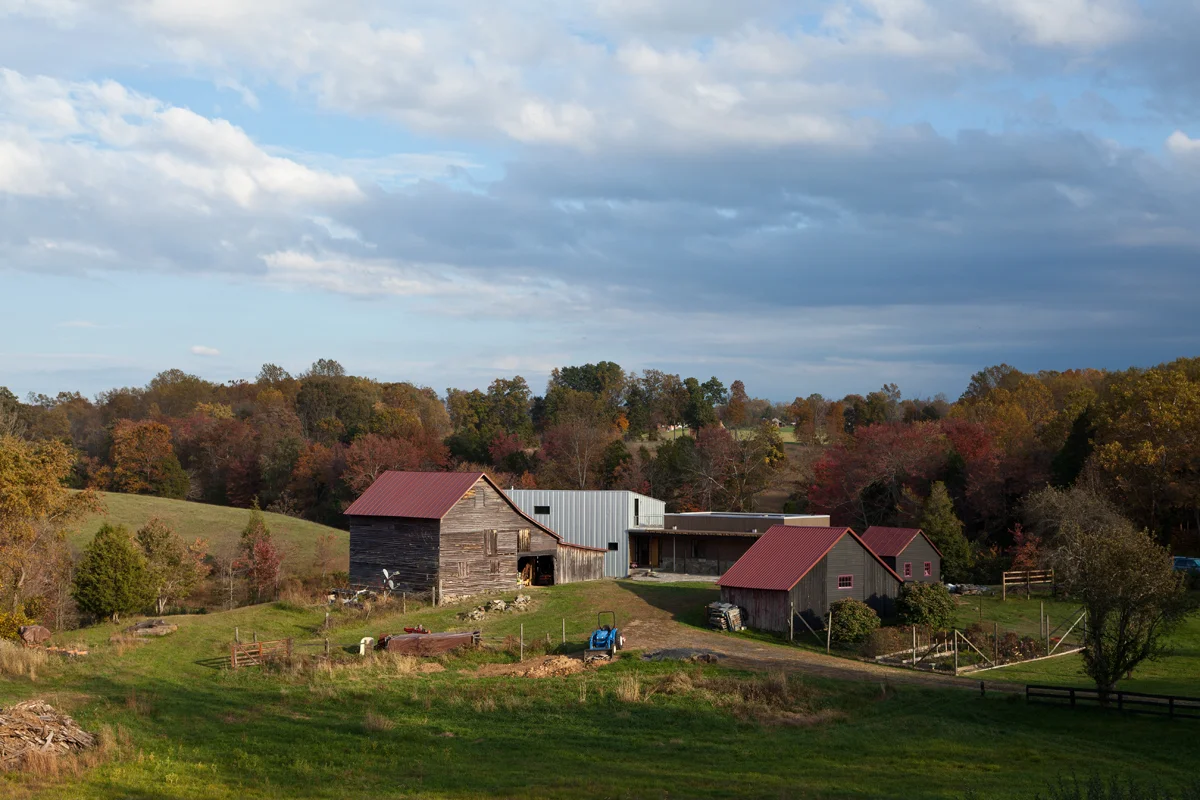 carter_burton_pond_view-12.jpg