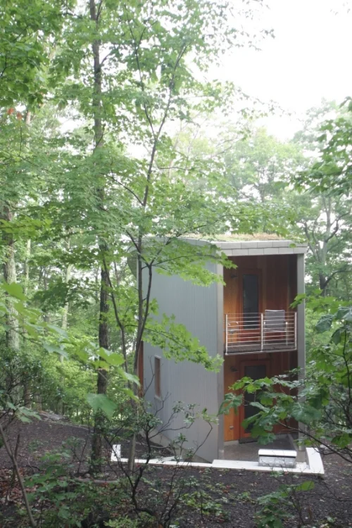 living roof without ladder vertical.jpg