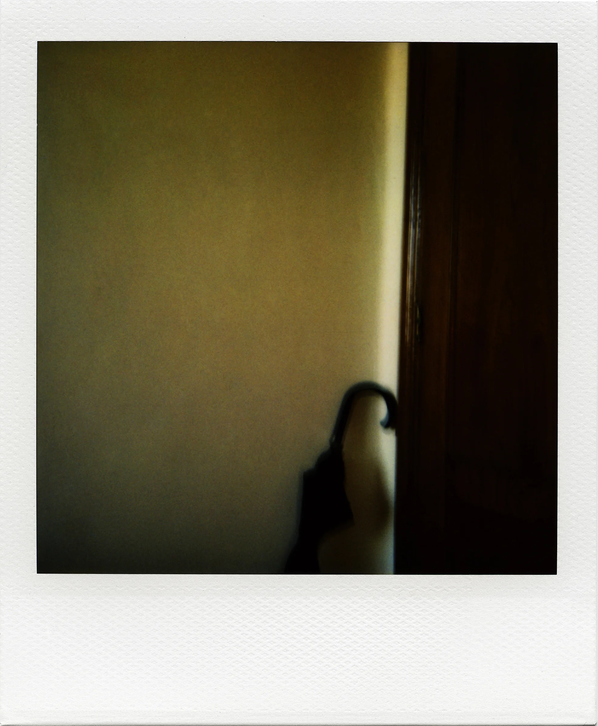 Interiors_Luis Barreiro.jpg