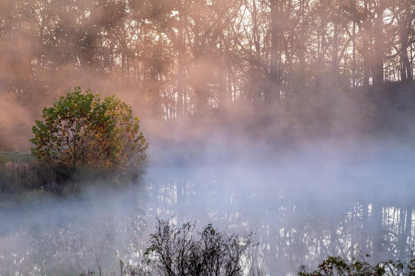 The sunrise today was poetic. 🍂✨
#morningfog #octobersky #autumnsunrise