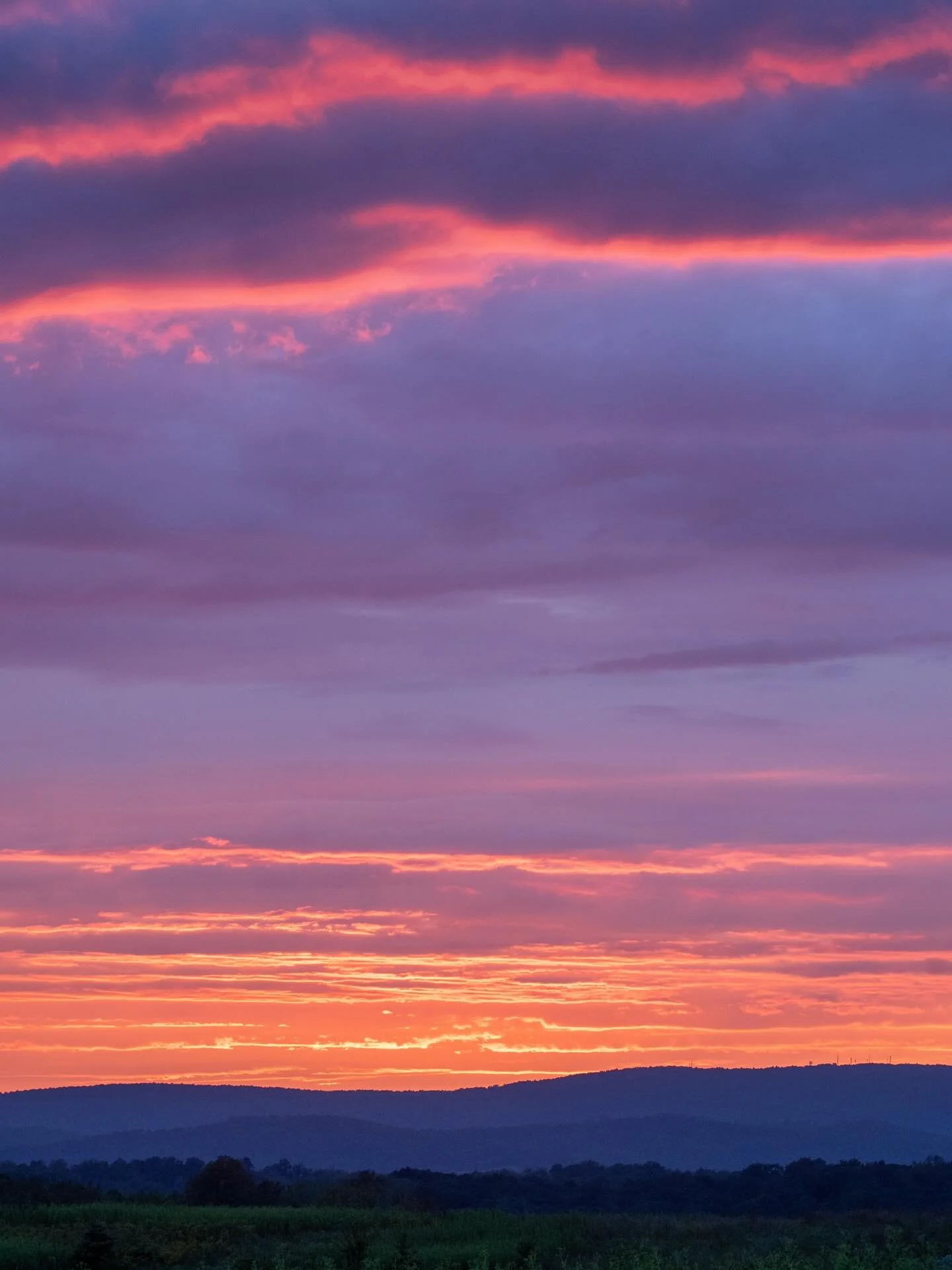 My favorite sunset progression from September, which also happened to be on my dogs&rsquo; birthdays :). Who wore it better&mdash;the clouds, the mountains, or the chicory? 🍬
