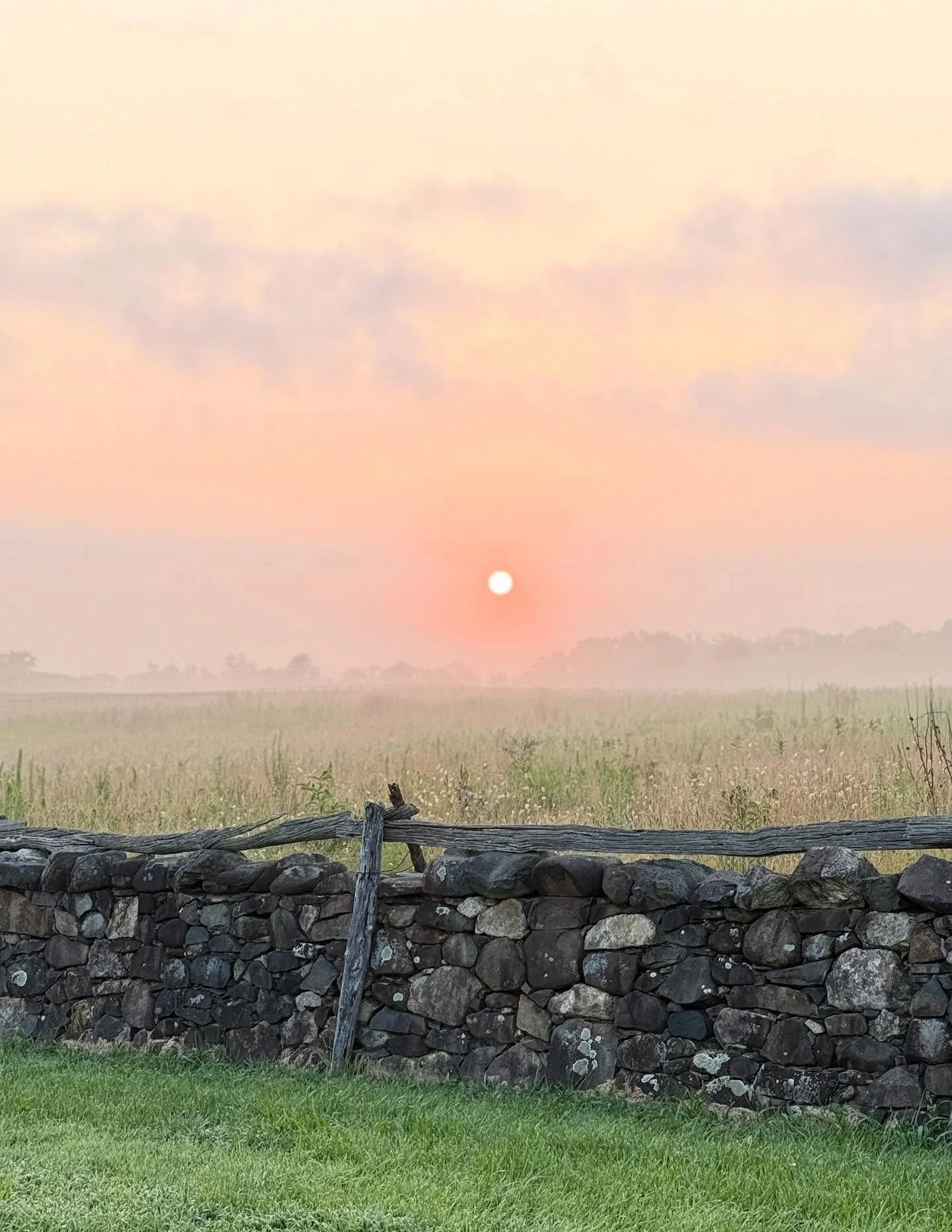 Misty Mornings on Rokeby Road. The kind of sunrise you pull over for. 🌄✨
📷 by me
🎨 by watercolor artist Eva McKinley, @the_oldfashionedgirl 

8.8.26

#sunrisesky #rokeby #countryroads #fauquier