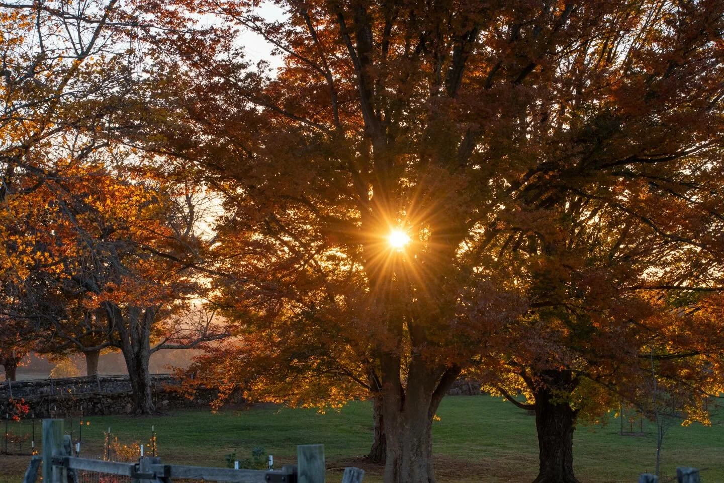 Fall was extra Gilmore-y this year. 🍂🍁🐈&zwj;⬛

11.3.25

#falllandscape #fauquiercounty #fallinvirginia