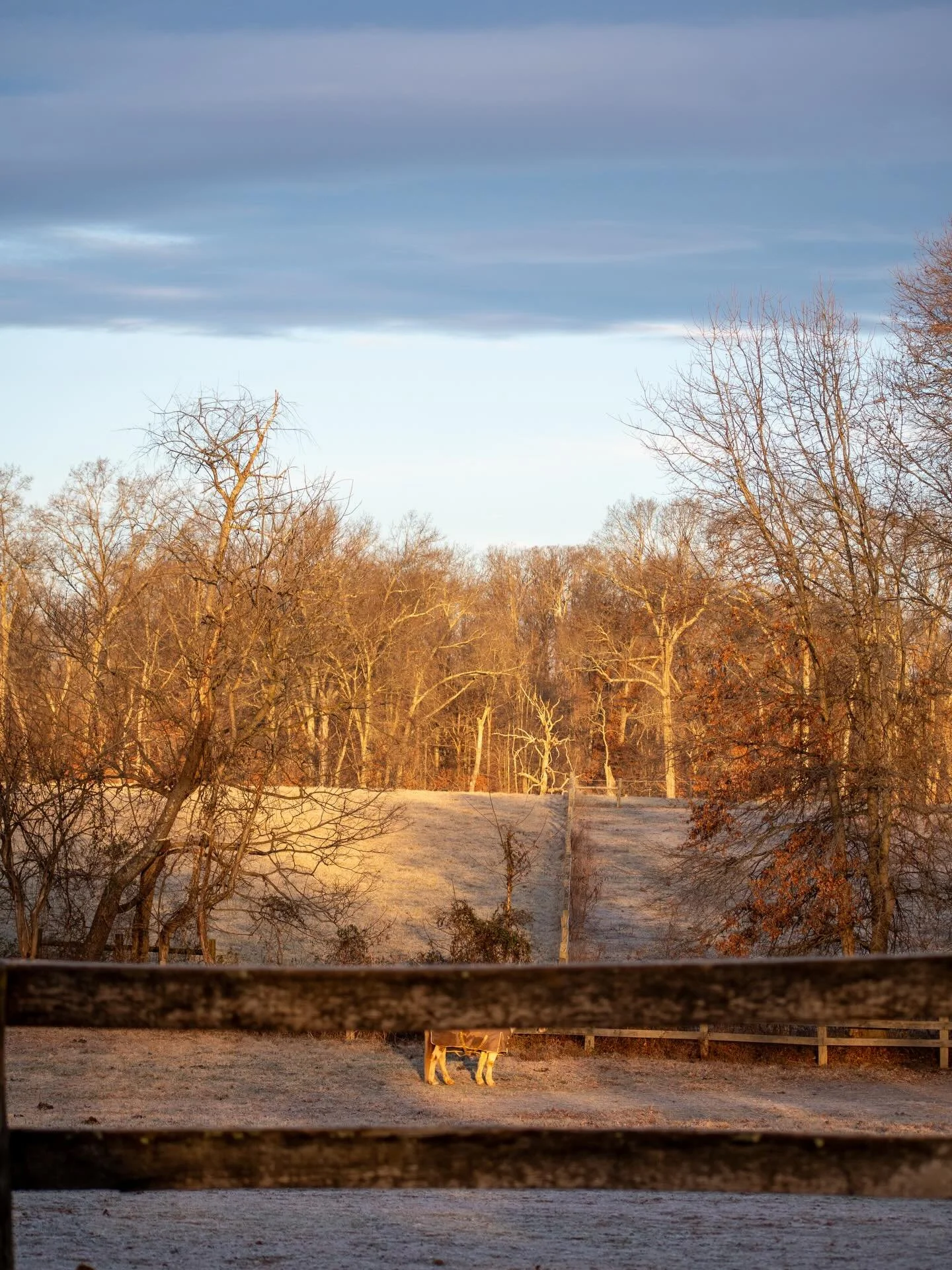 Cold Feet and the December &lsquo;Cold&rsquo; Moon ❄️🌕

#24hours #wintersky #decemberfullmoon
