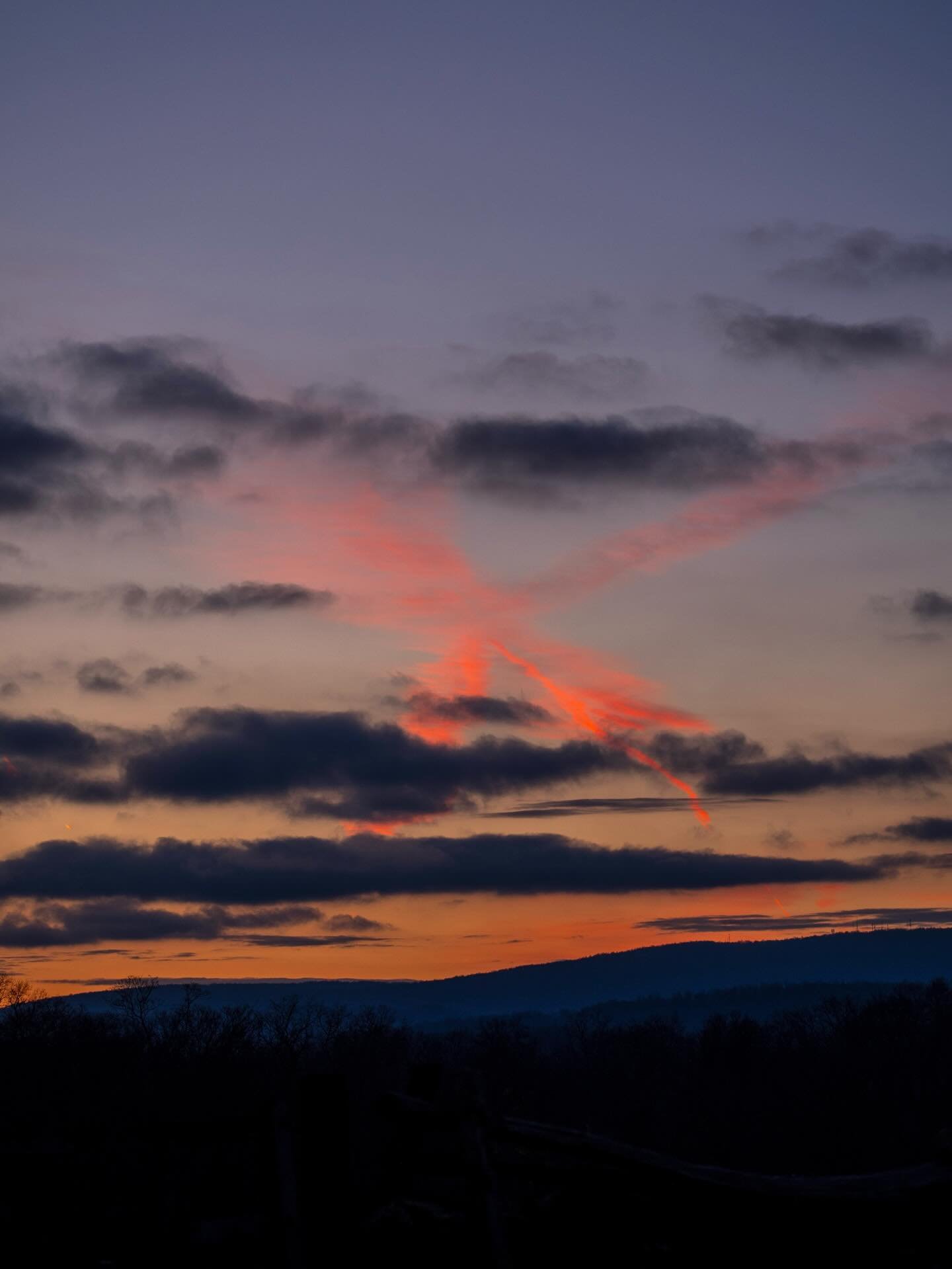 Nature lately ❄️✨

#winterland #wintersky #fauquier