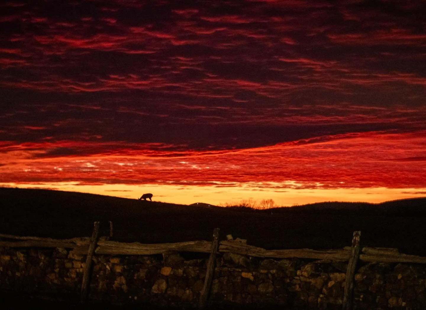 Zooming into the sunset tonight was insane. 🔥

#fauquiercounty #wintersunsets #nikond7500