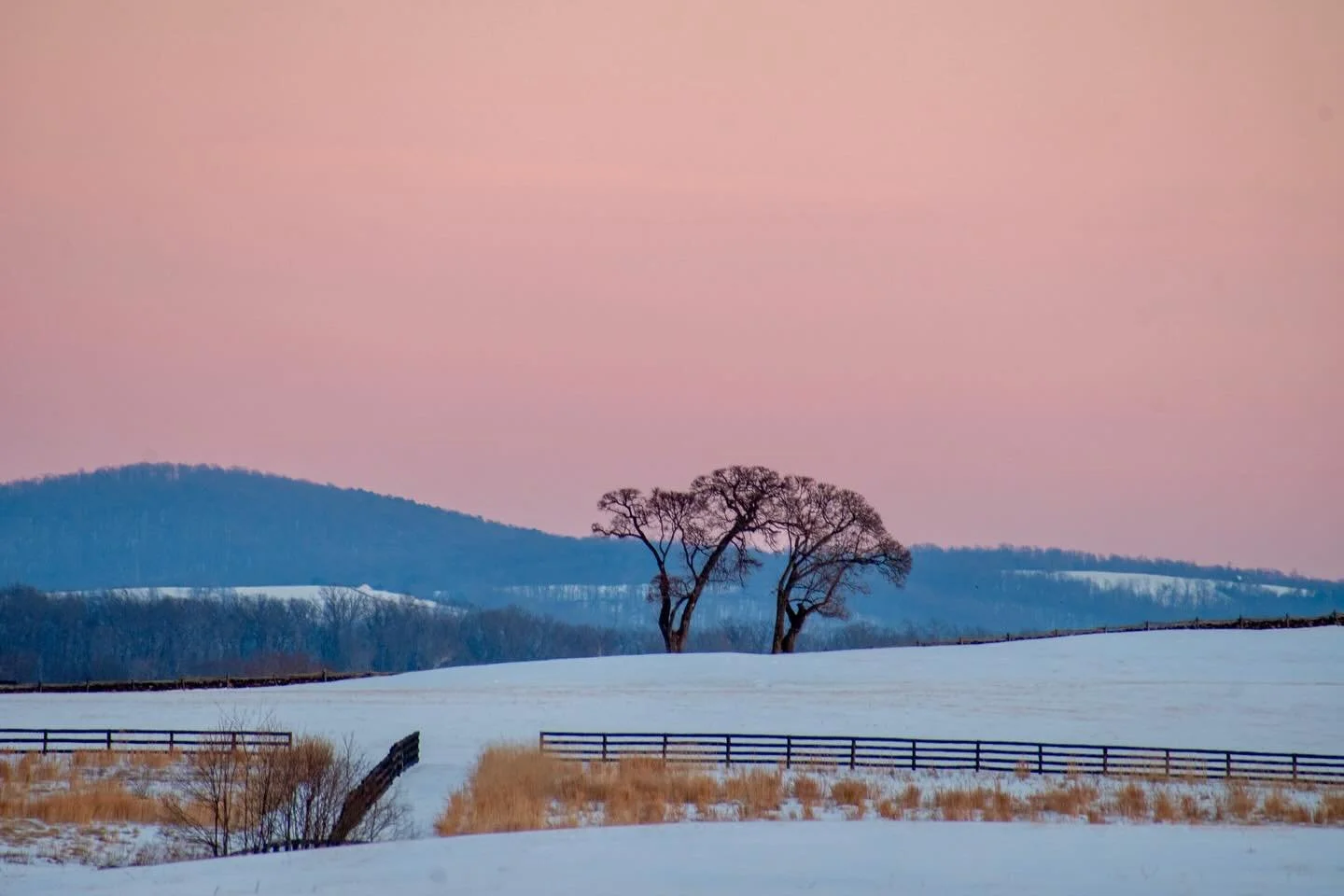 February full &lsquo;snow&rsquo; moon rising sequence 🌕
2.1.26