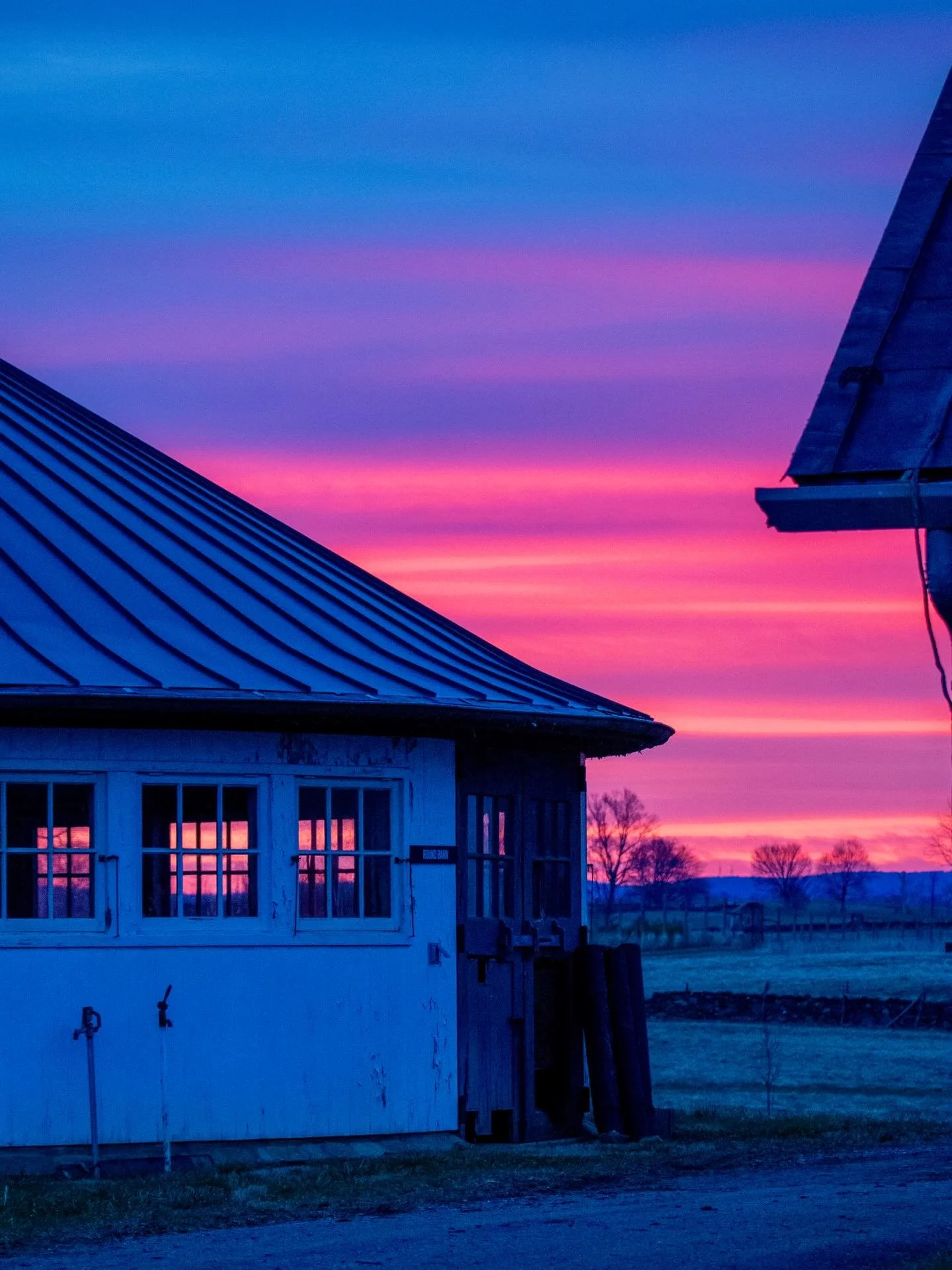 Yesterday mornings neon sunrise. ✨🦩
3.19.26