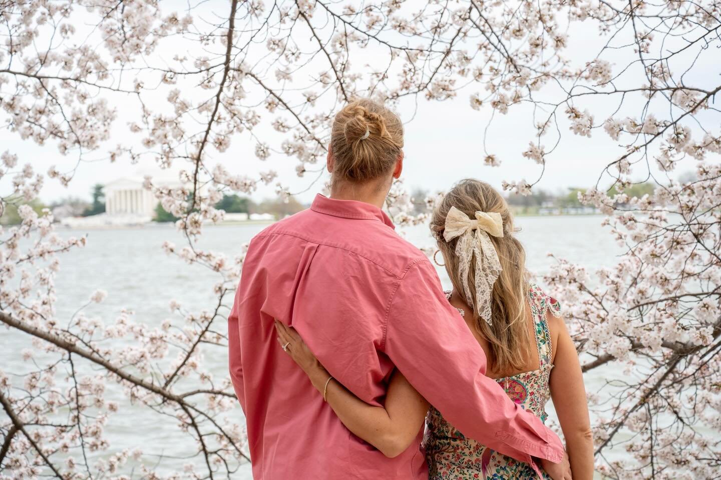 Bumpin&rsquo; at the blossoms 🌸🤰🏼 It was the perfect afternoon shooting Claire &amp; Connor&rsquo;s photos the day before the crowds. And rewind to their engagement shoot when the horse suspected a bun in the oven. 🐴🥐