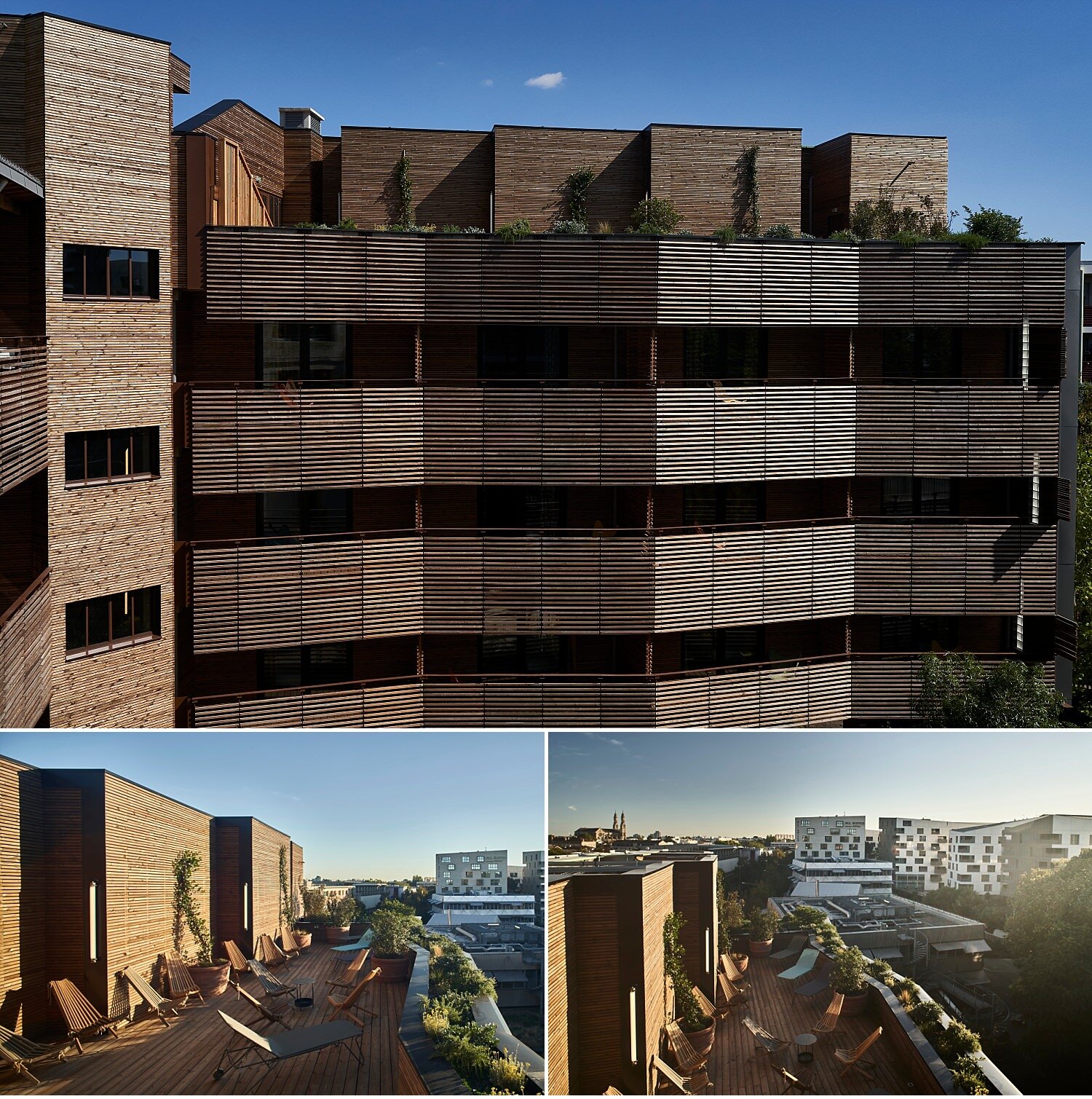  New hotel in Bordeaux, La Zoologie, owned by French as the Palazzetto Rosso in Siena and other hotels in Paris. The inspiration of the structure is linked to the original origin of the building which was a university zoology pavilion. Recently resto