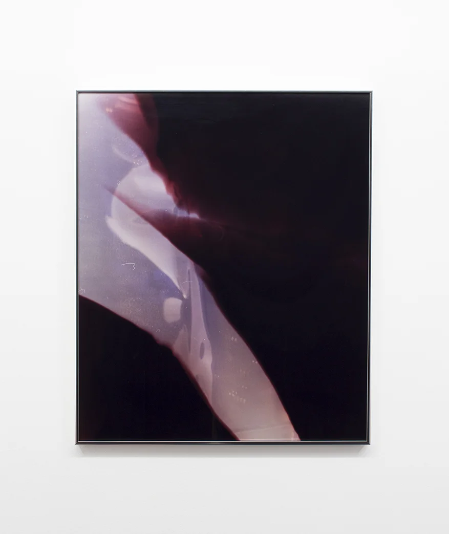 Body Reveal II, 2015
