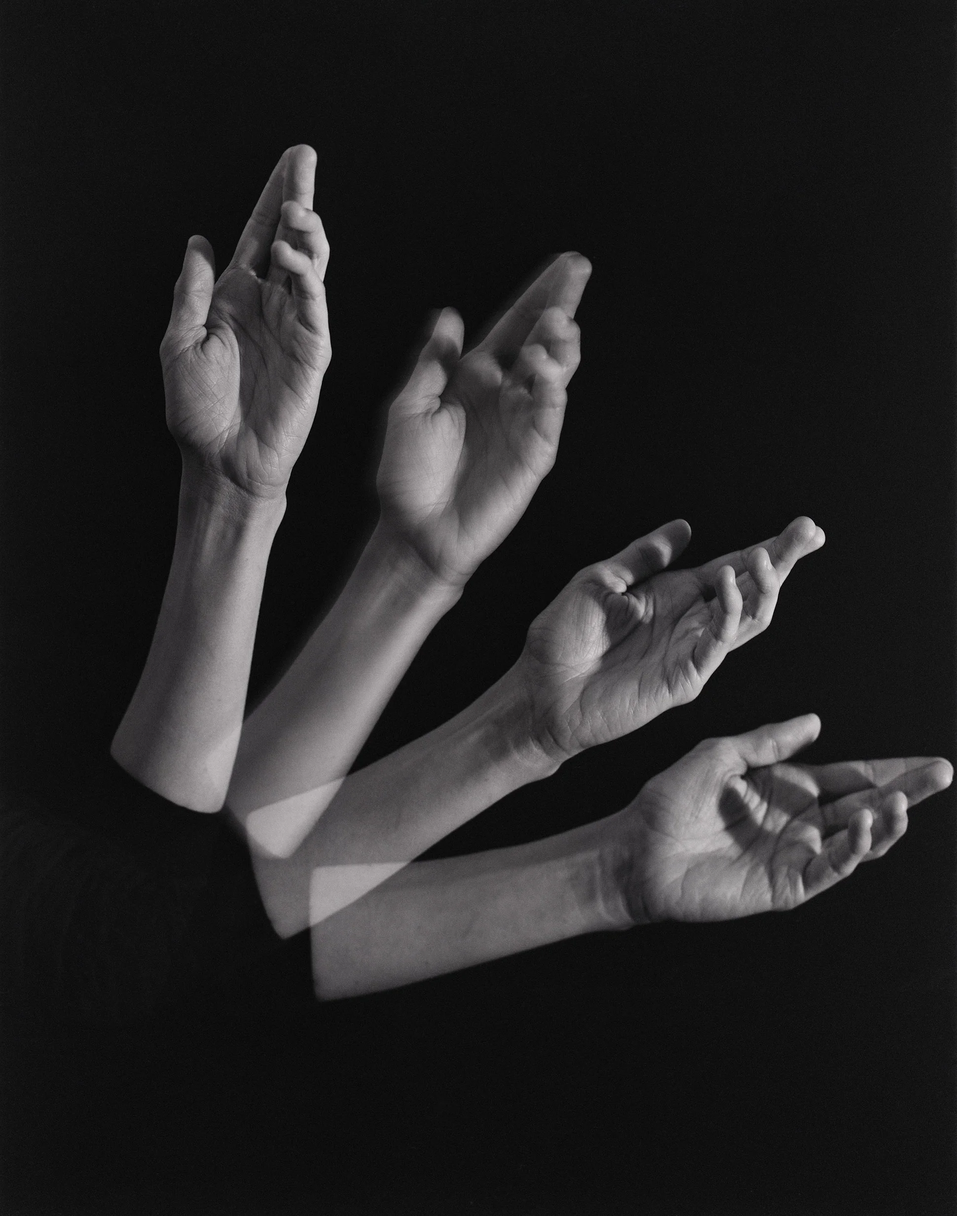Ease Belies Exertion, 2016