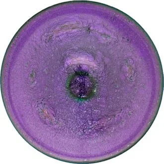 NW Vacation - Purple .jpeg