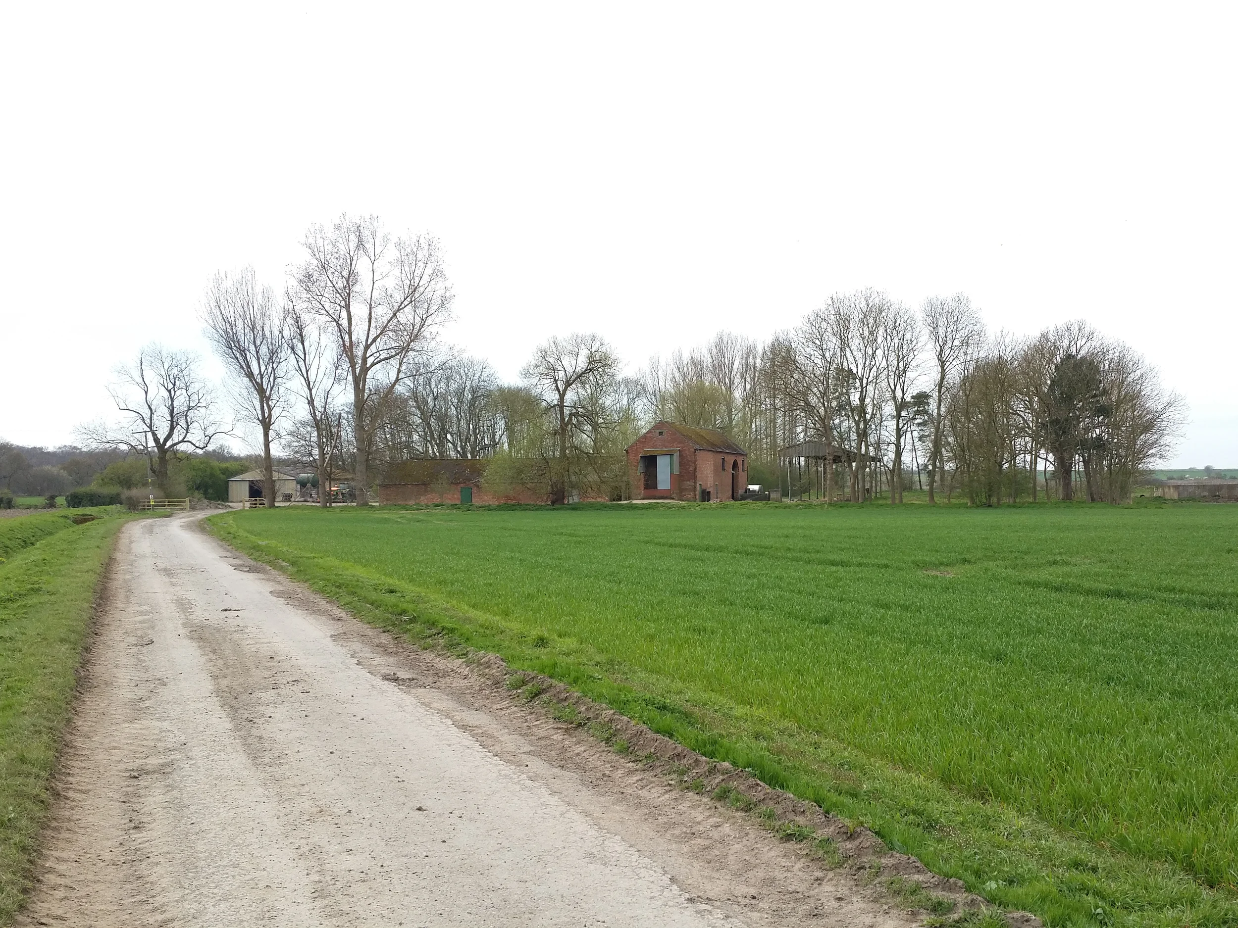 20150415_110634.jpg