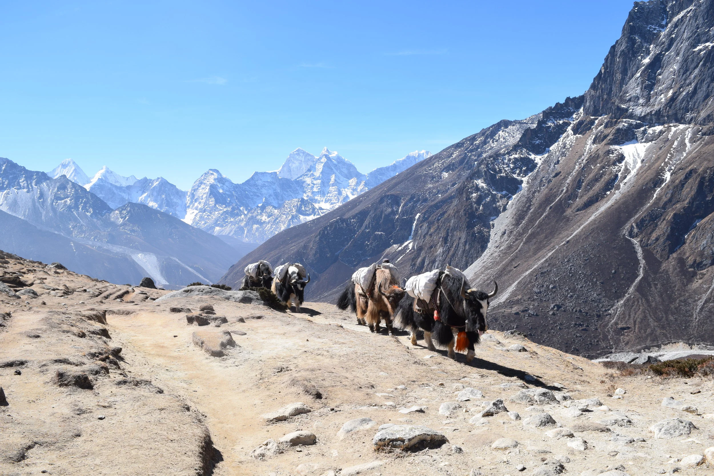 Heading to Thukla