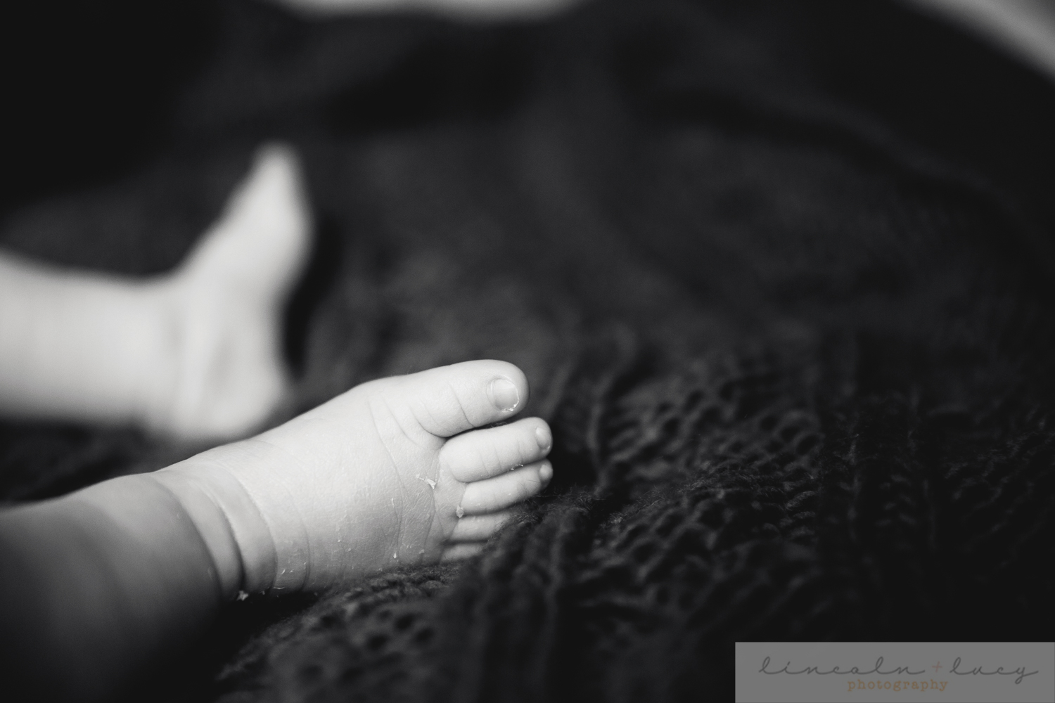 Everett Newborn Photography-6.jpg