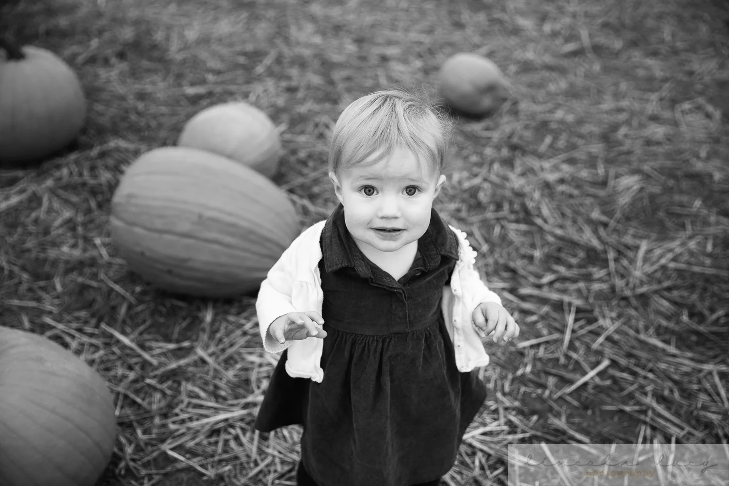 Snohomish Family Photographer-6.jpg