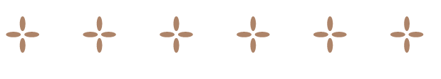 LL_Divider.png