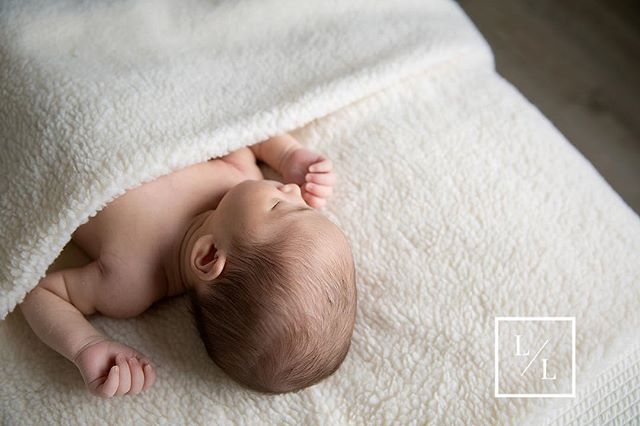 Sweet &amp; simple newborn portrait...⠀
.⠀
.⠀
.⠀
⠀
#seattlebaby #seattlebabyphotography #pixel_kids #momtogs #camera_mama #seattlelifestylephotographer #seattlelifestylephotography #seattlephotographer #newbornphotography #seattlenewbornphotographer 