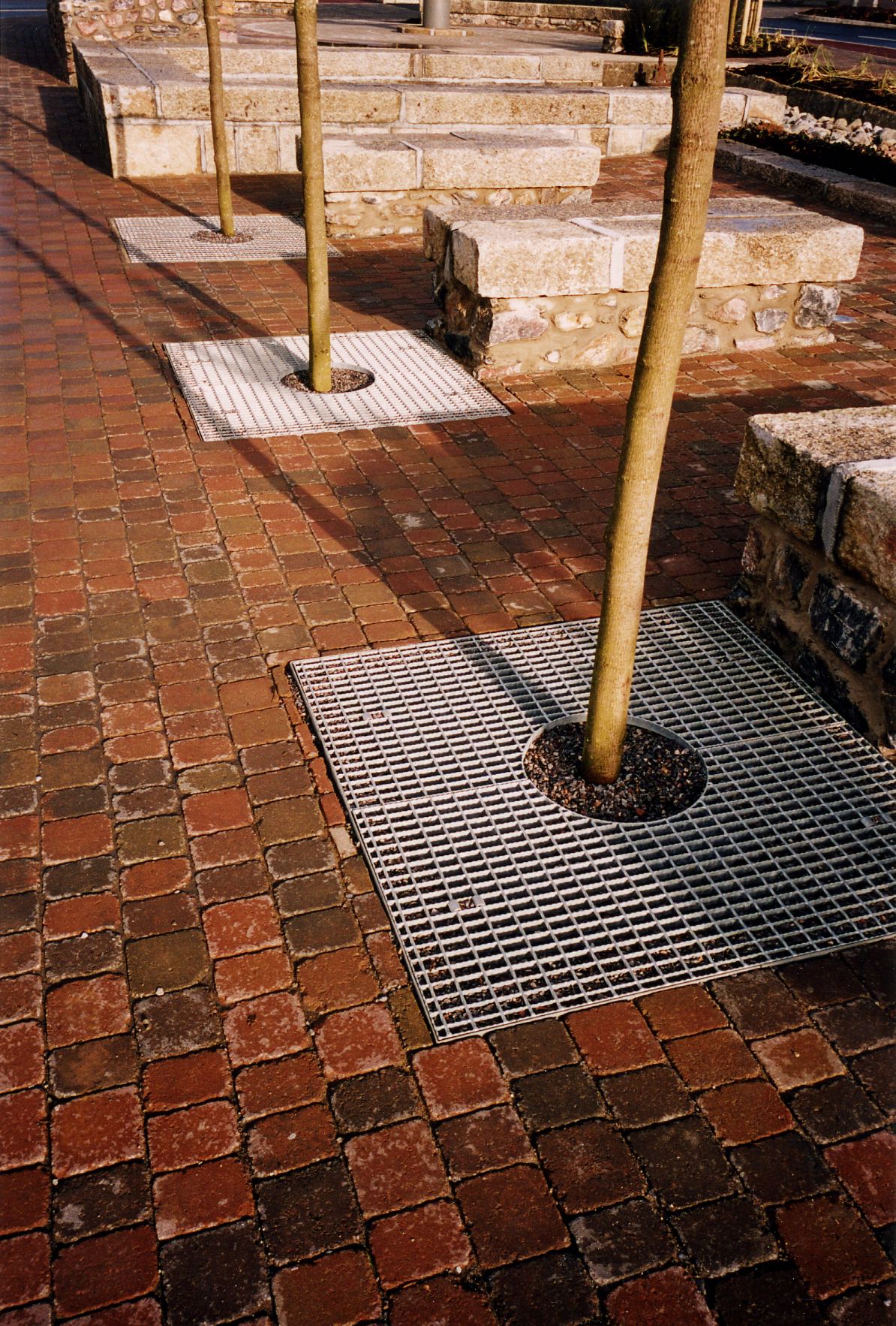 Mesh 1 copy.jpg