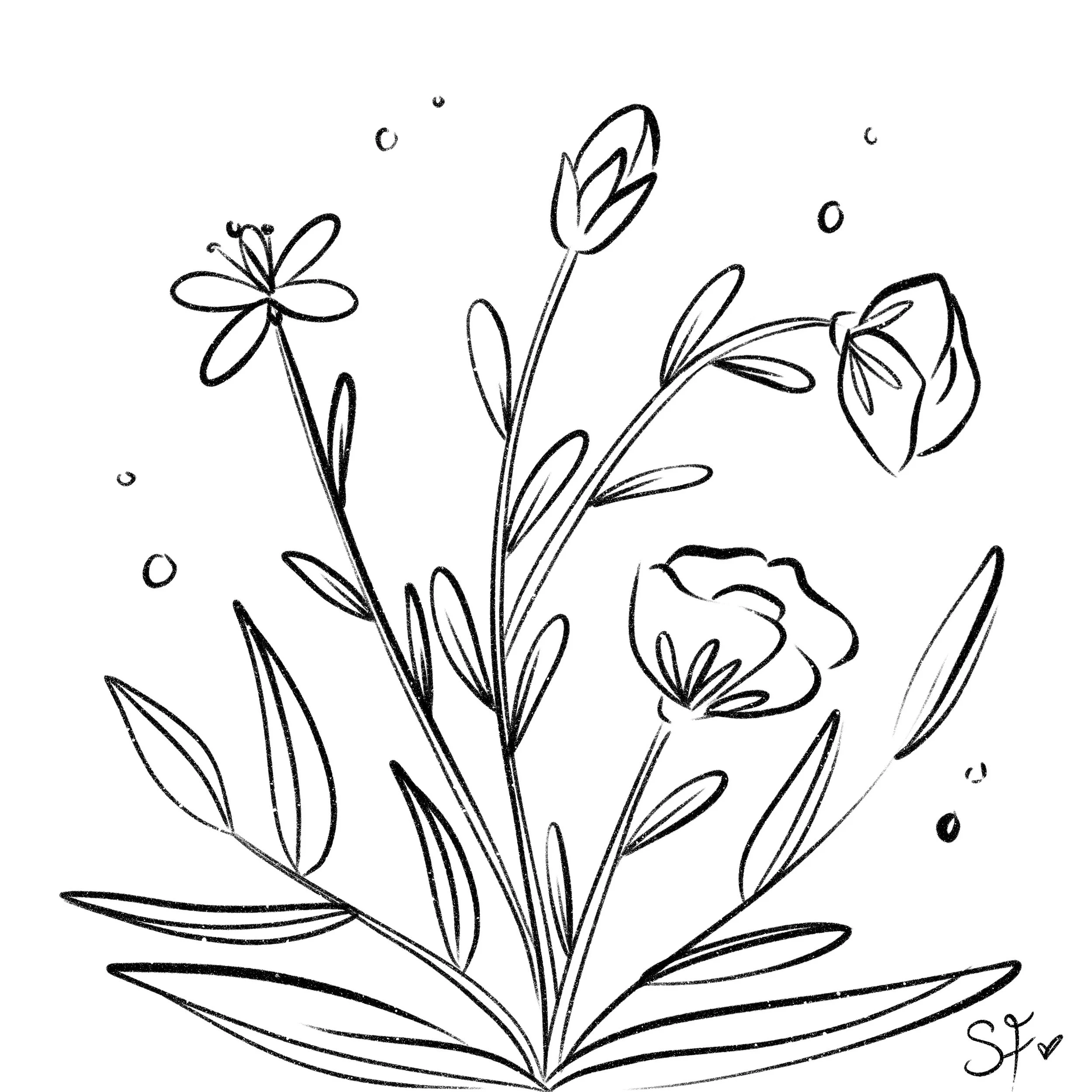 Untitled_Artwork 120.jpg
