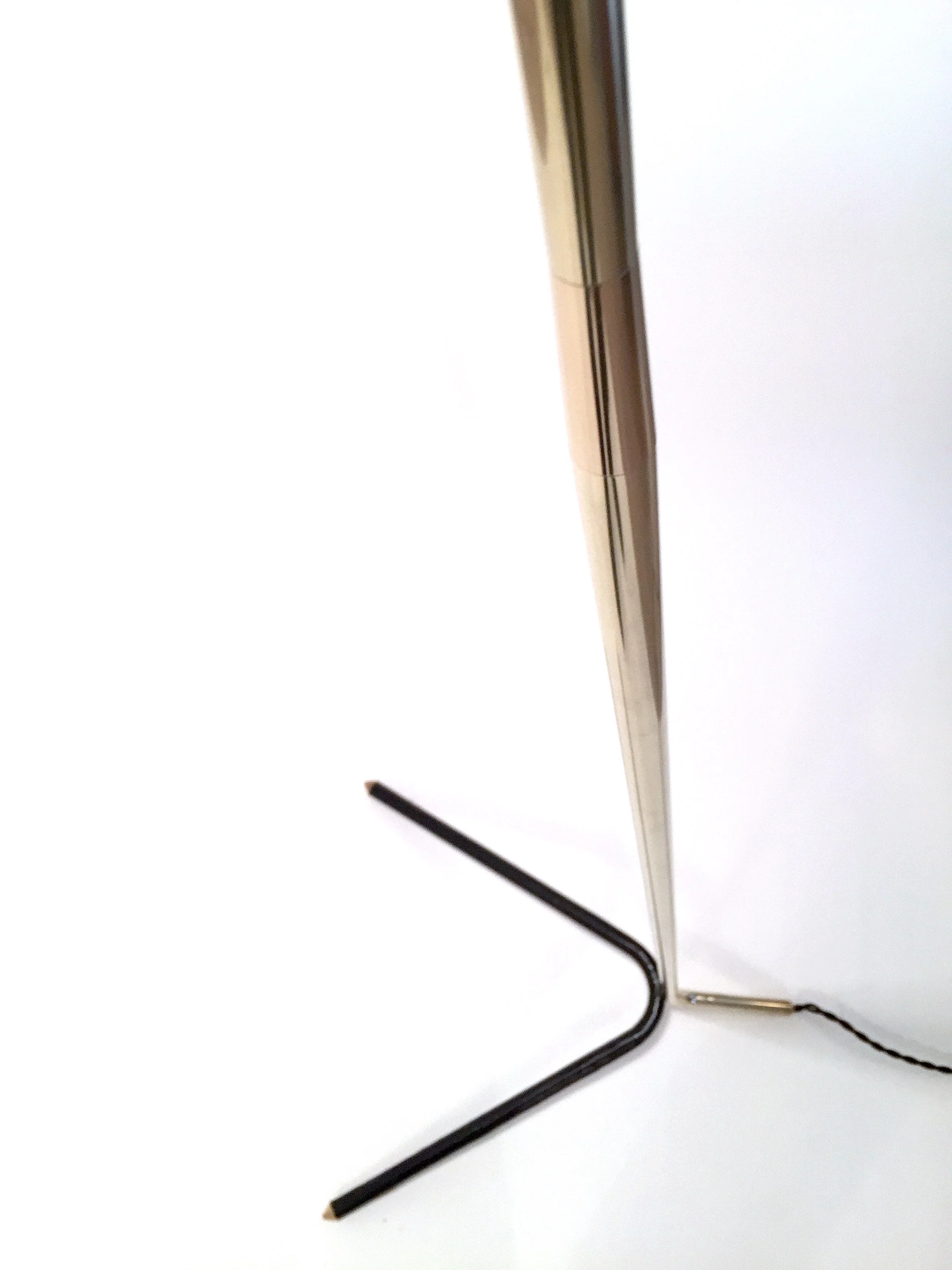 WHITE STEM.jpg