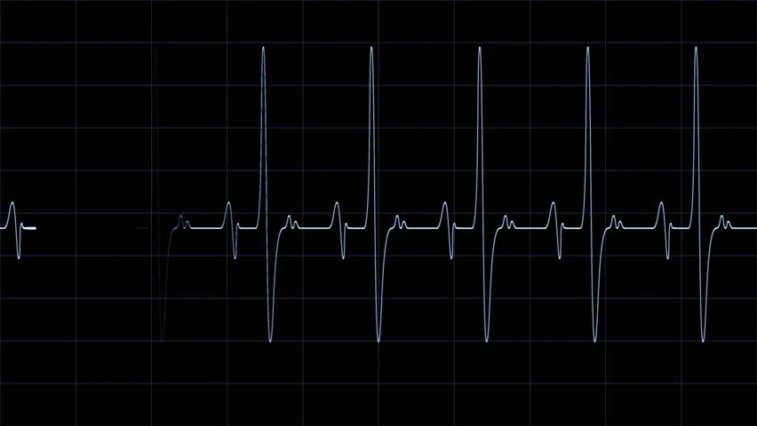 the pattern is mimicked in the heartbeat of living organisms. Image via Shutterstock.