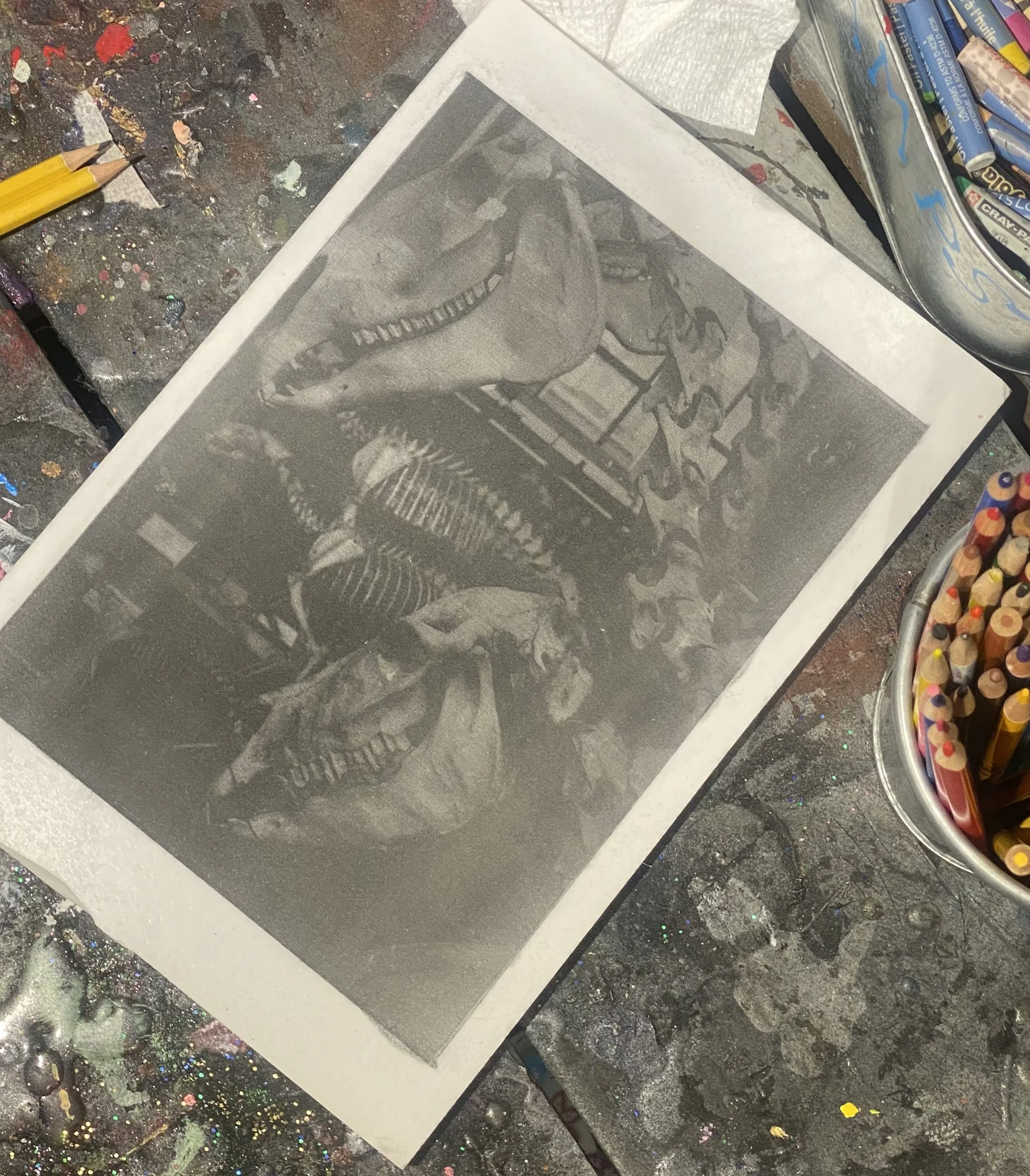 IMG_0552.jpeg