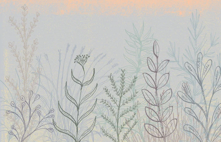 Abstract Plant Forms 9