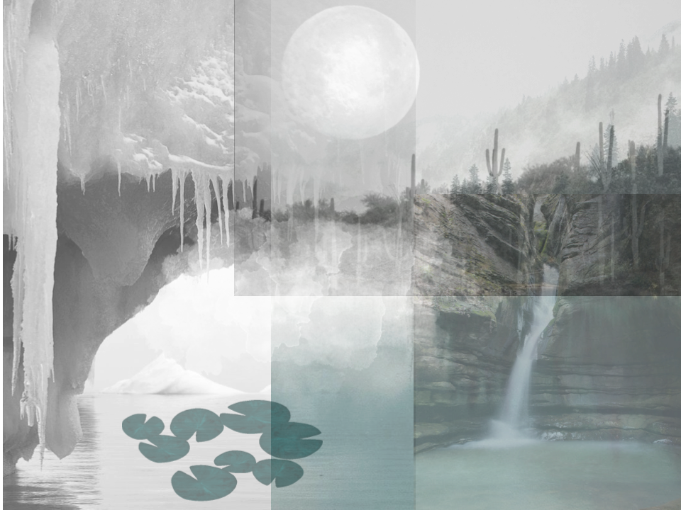 collage.png
