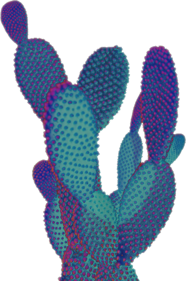 megactus.png